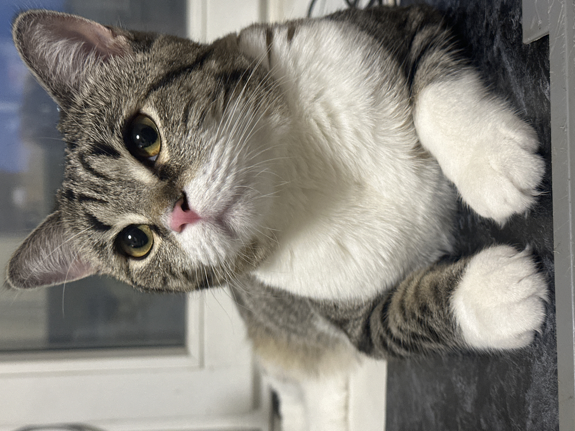 Quiet domestic moments captured in Chaikovsky home