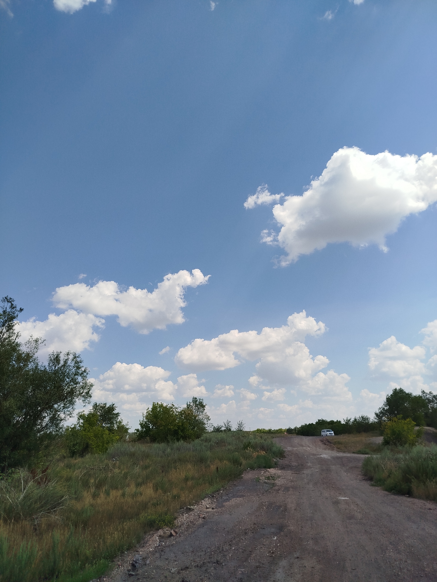Dirt road through Kazakhstan steppe, treelines and open sky