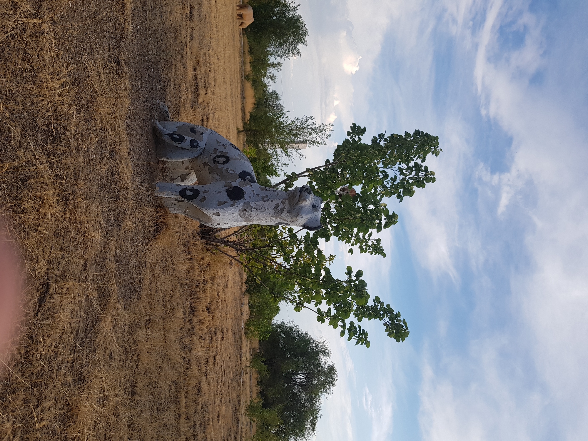 Weathered sculptures and landmarks dot a quiet Kurchatov park