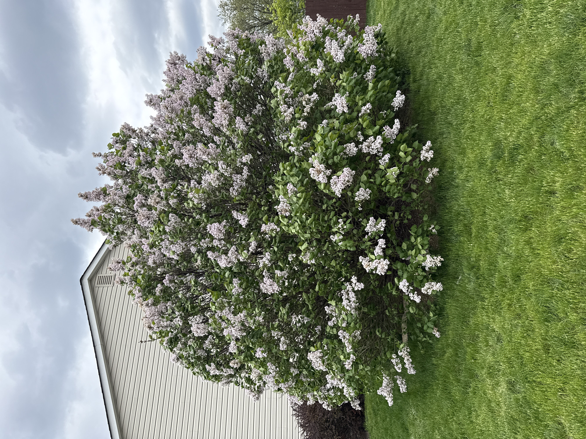 Spring afternoon documented across suburban Columbus neighborhoods