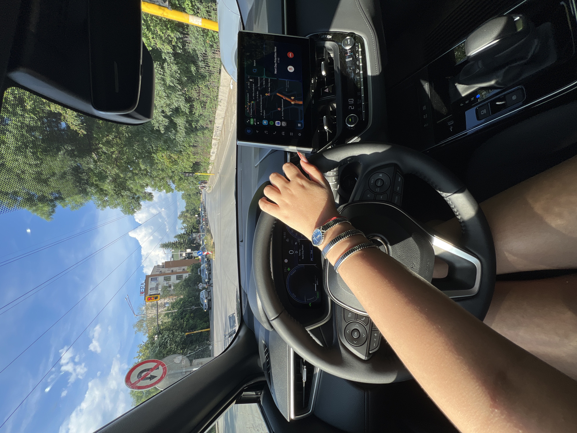 Afternoon snapshots from Sofia: driving, watches, and a dog