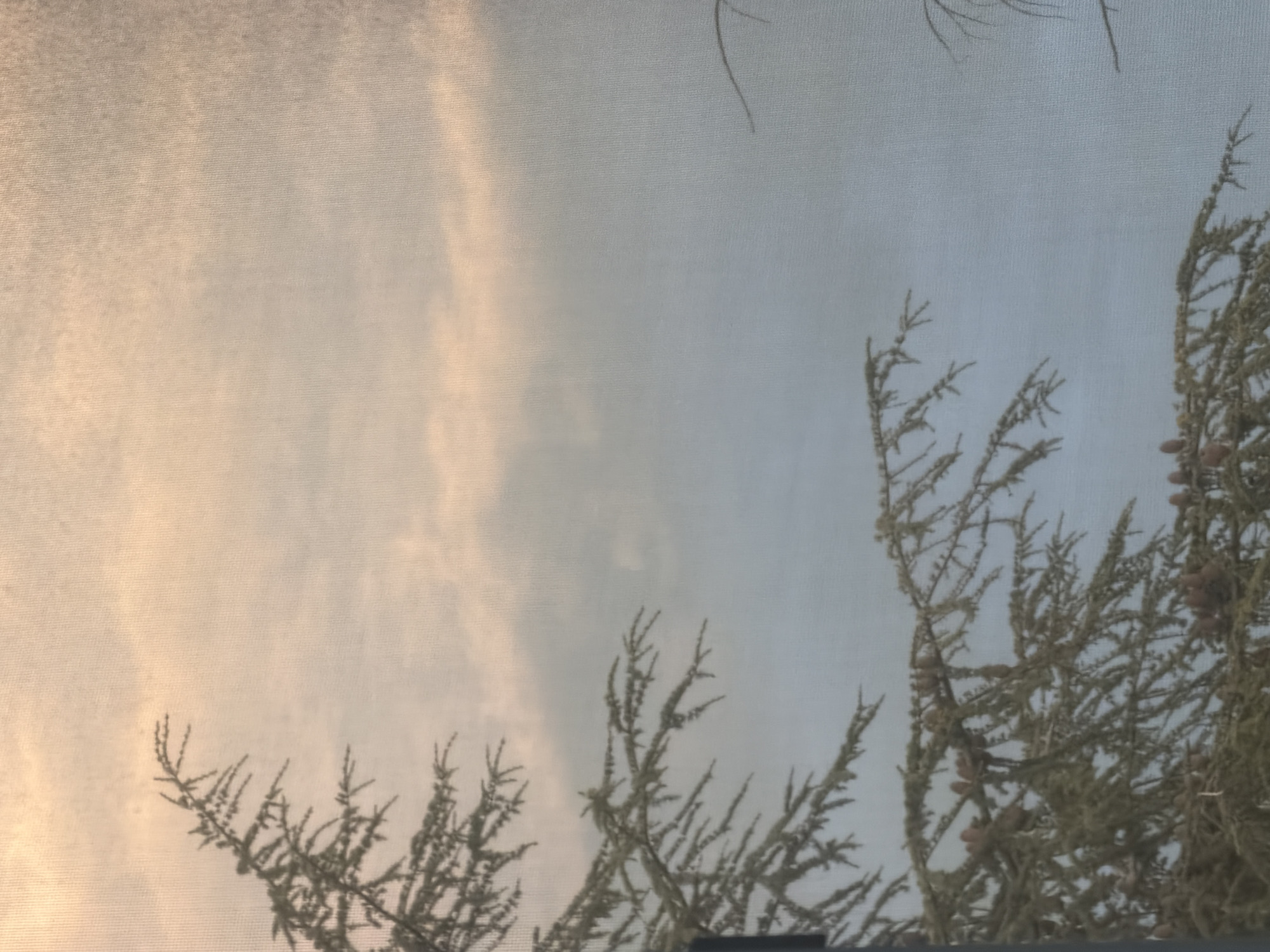 Evening sky transitions documented over Varna, Bulgaria cityscape