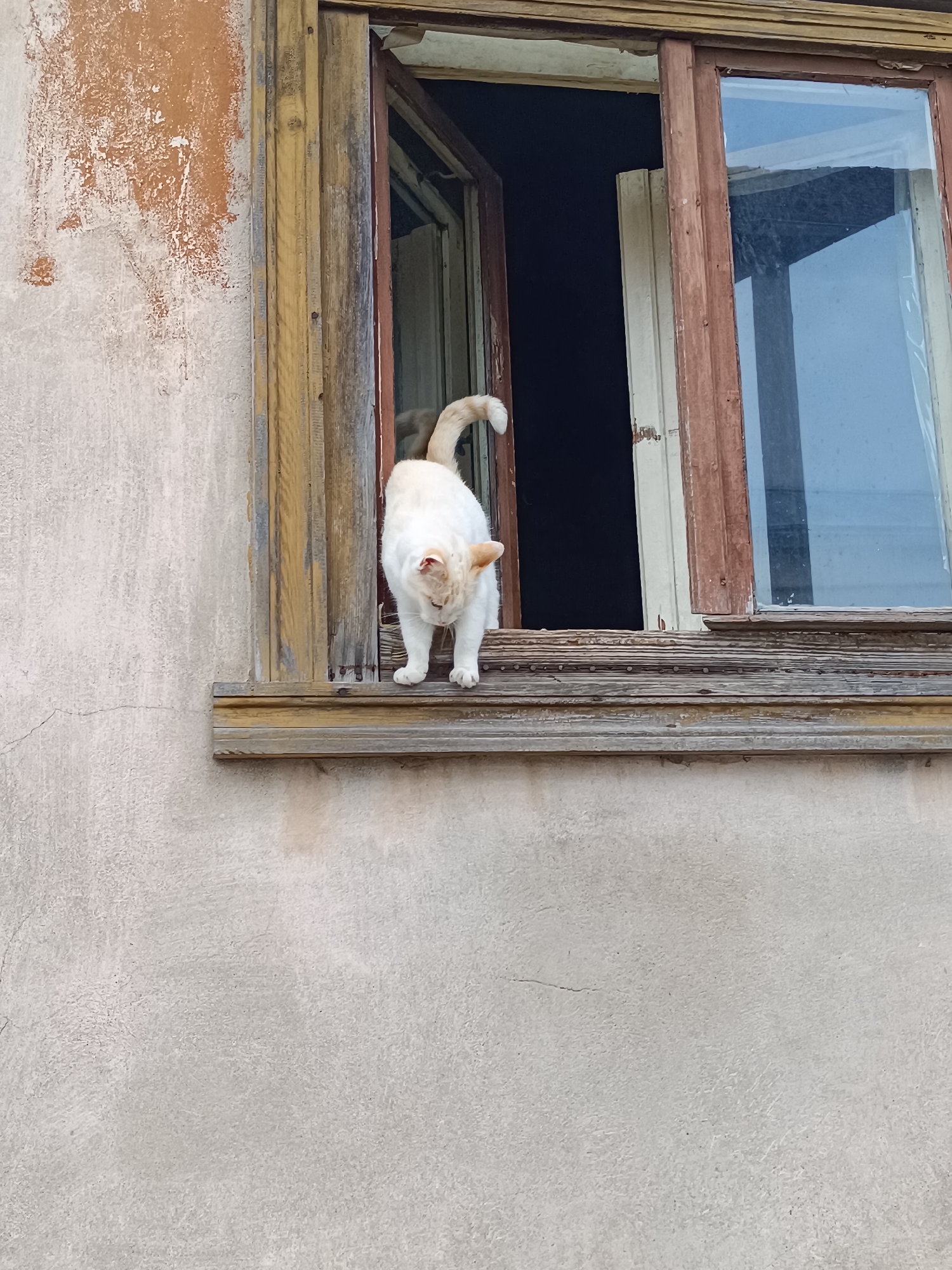 Summer day in Kuldīga: street scenes, live music, and local charm