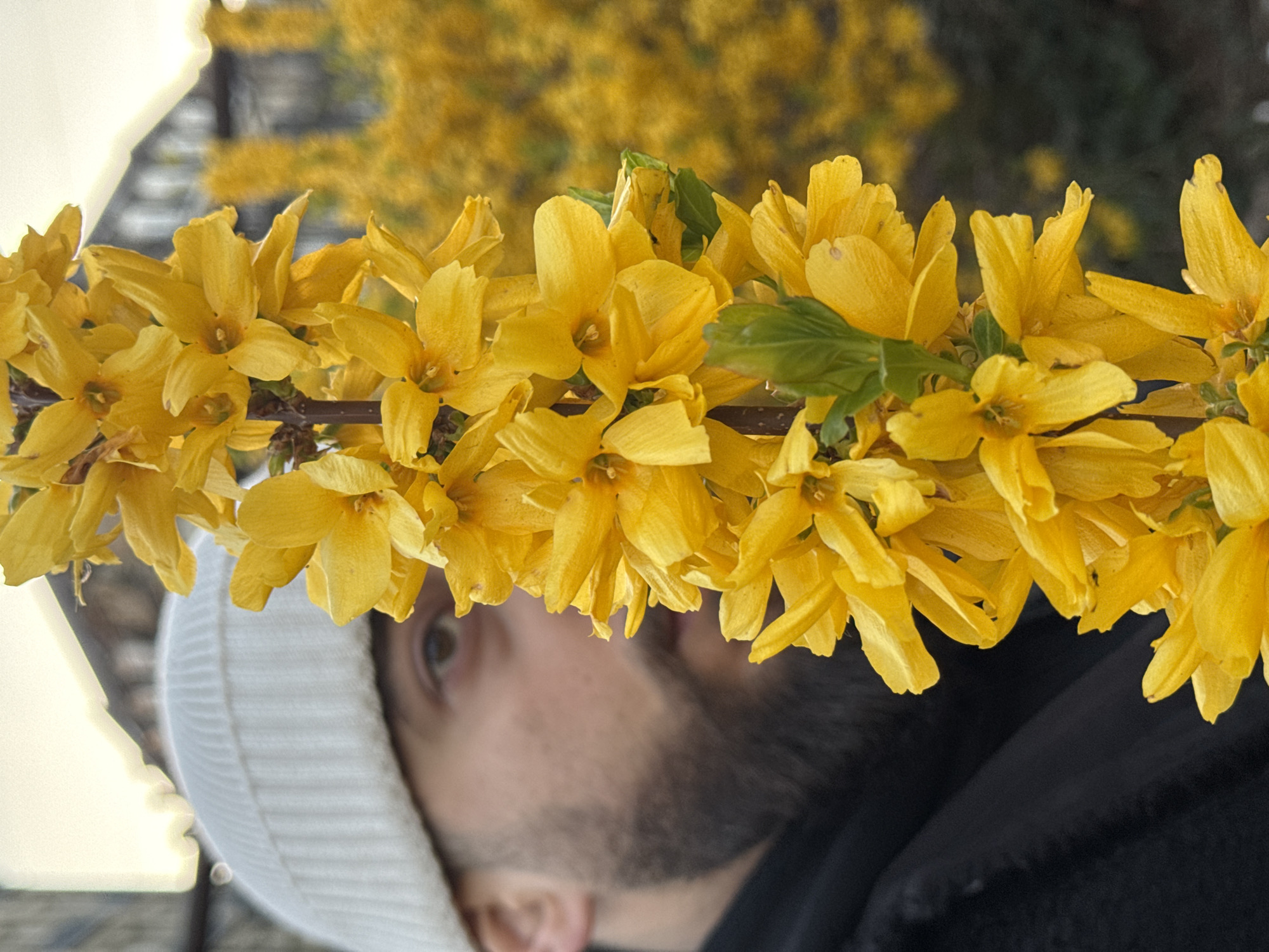 Evening photo walk through historic Strasbourg captured spring scenes