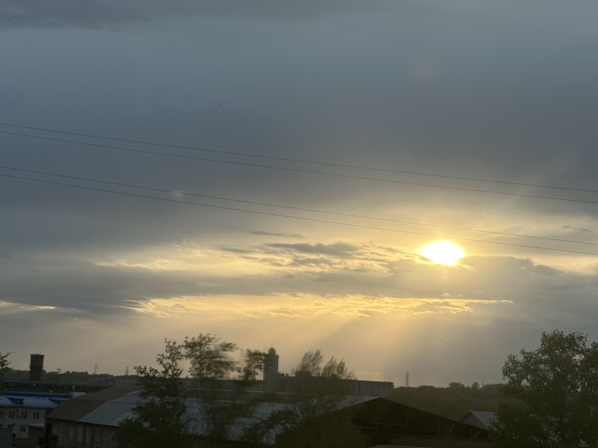 Sunset observed over Biysk, Russia with birds in flight