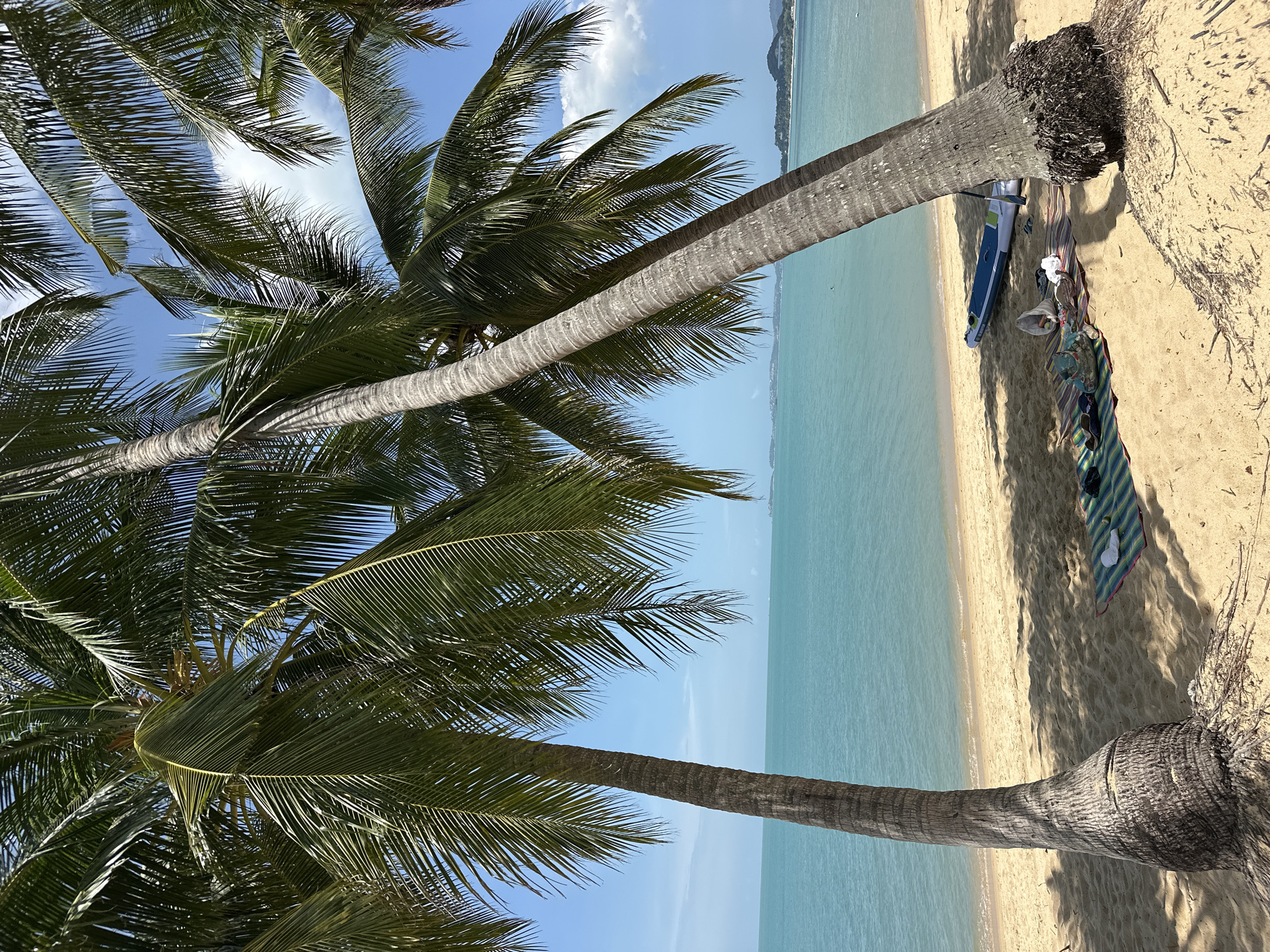 Sunny morning on a palm-lined Ko Samui beach