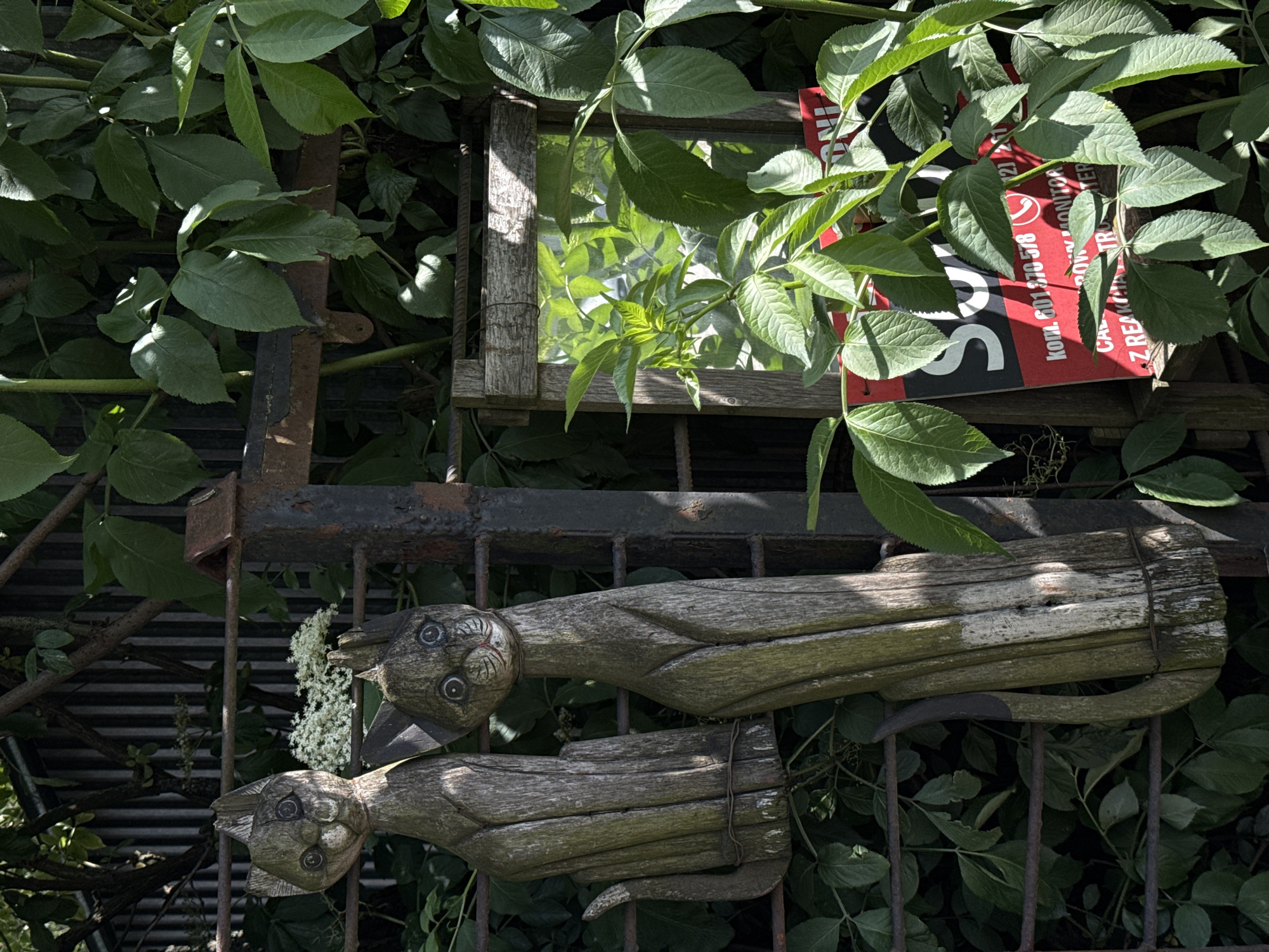 Urban walk documented through bridges, flowers, and city infrastructure