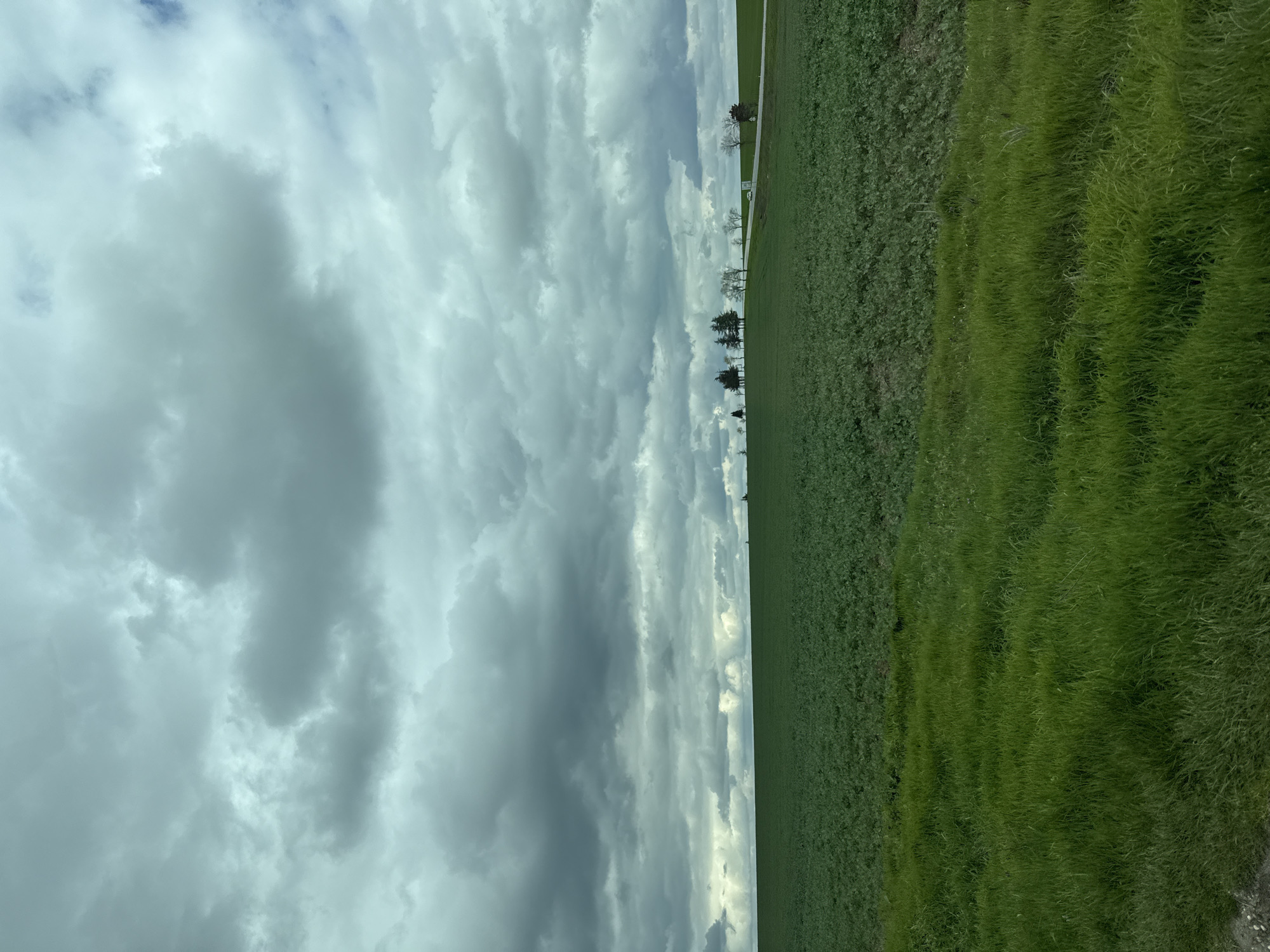 Overcast skies documented over green fields in rural Bulgaria
