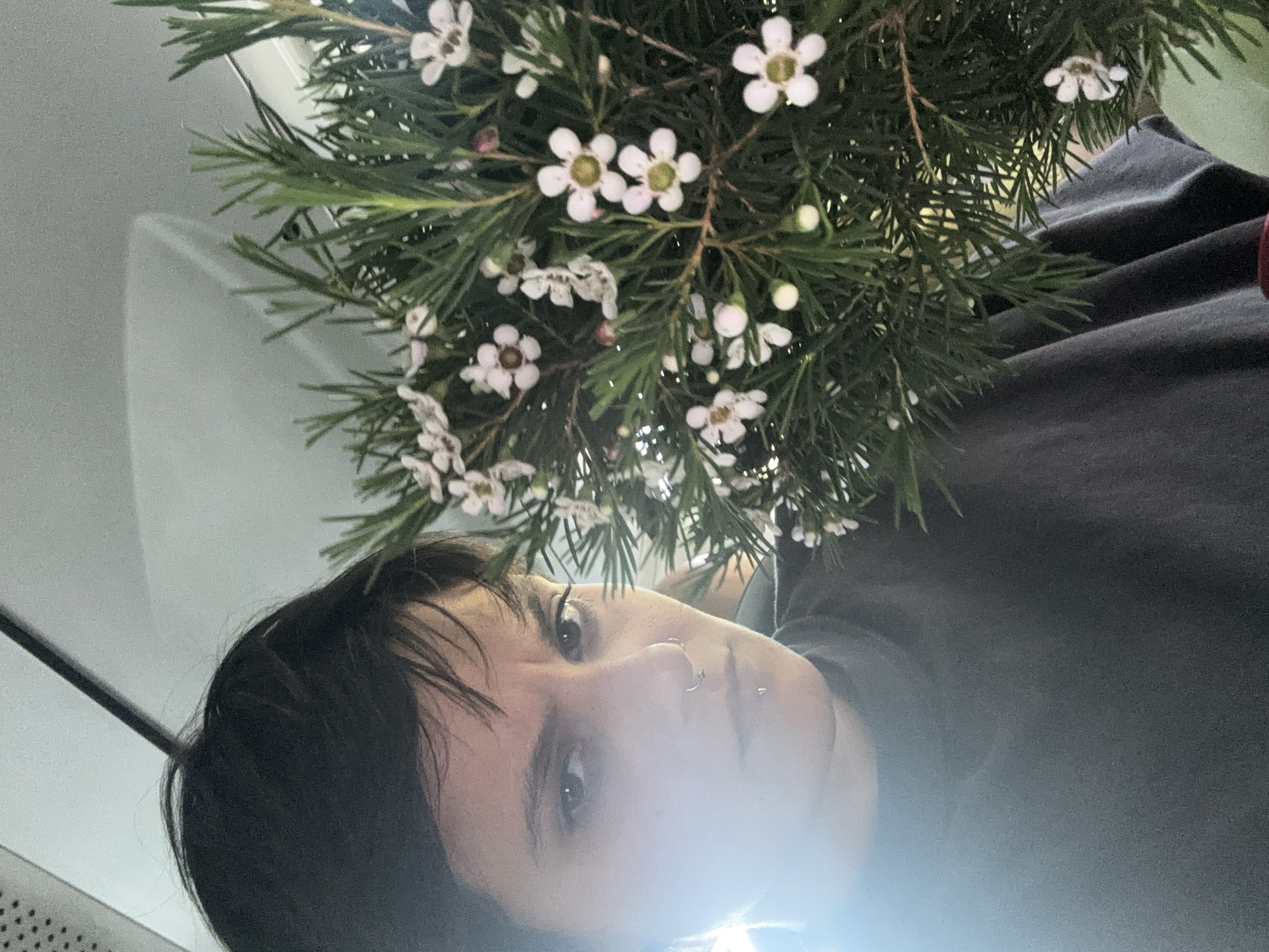 Portrait and flowers captured on Sofia public transport