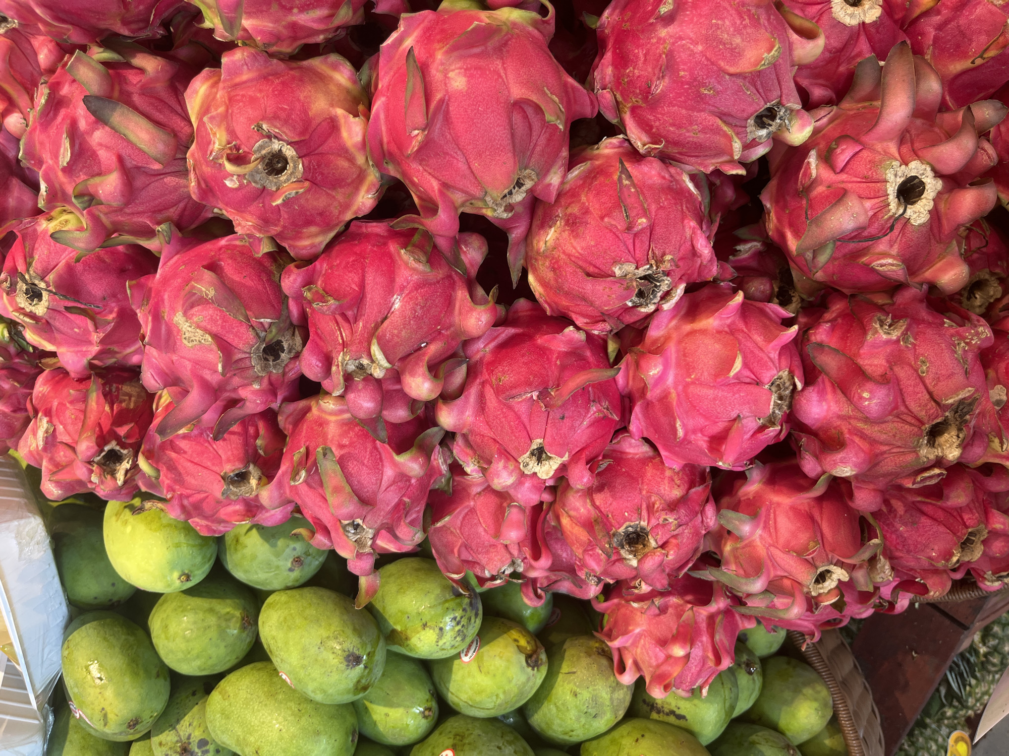 Woman documents morning selfies and fruit shopping in North Kuta