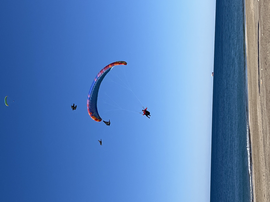 Morning paragliding and beach activities documented in Alanya, Turkey