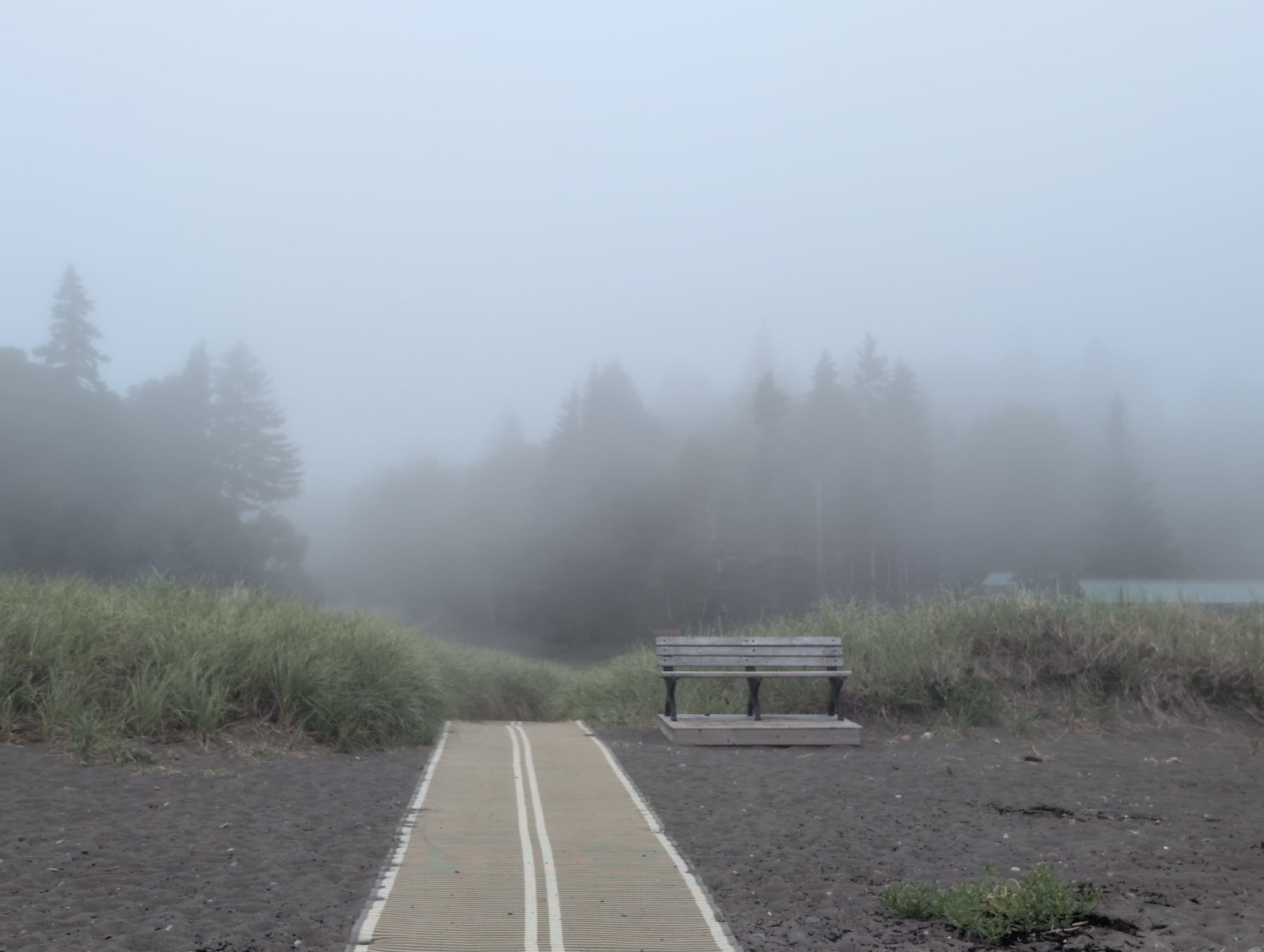 Foggy summer afternoon on Campobello Island's rocky shore