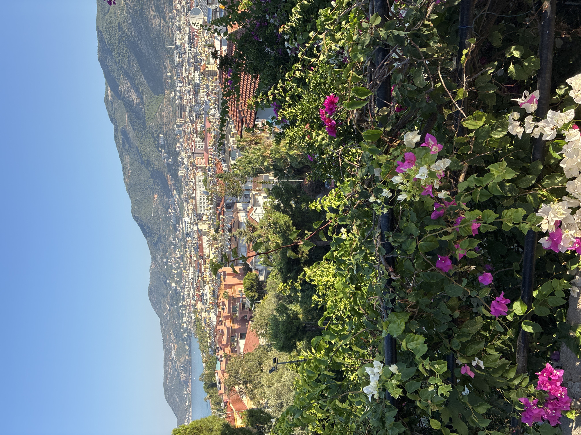 Elevated views over Alanya with bougainvillea and mountain backdrop