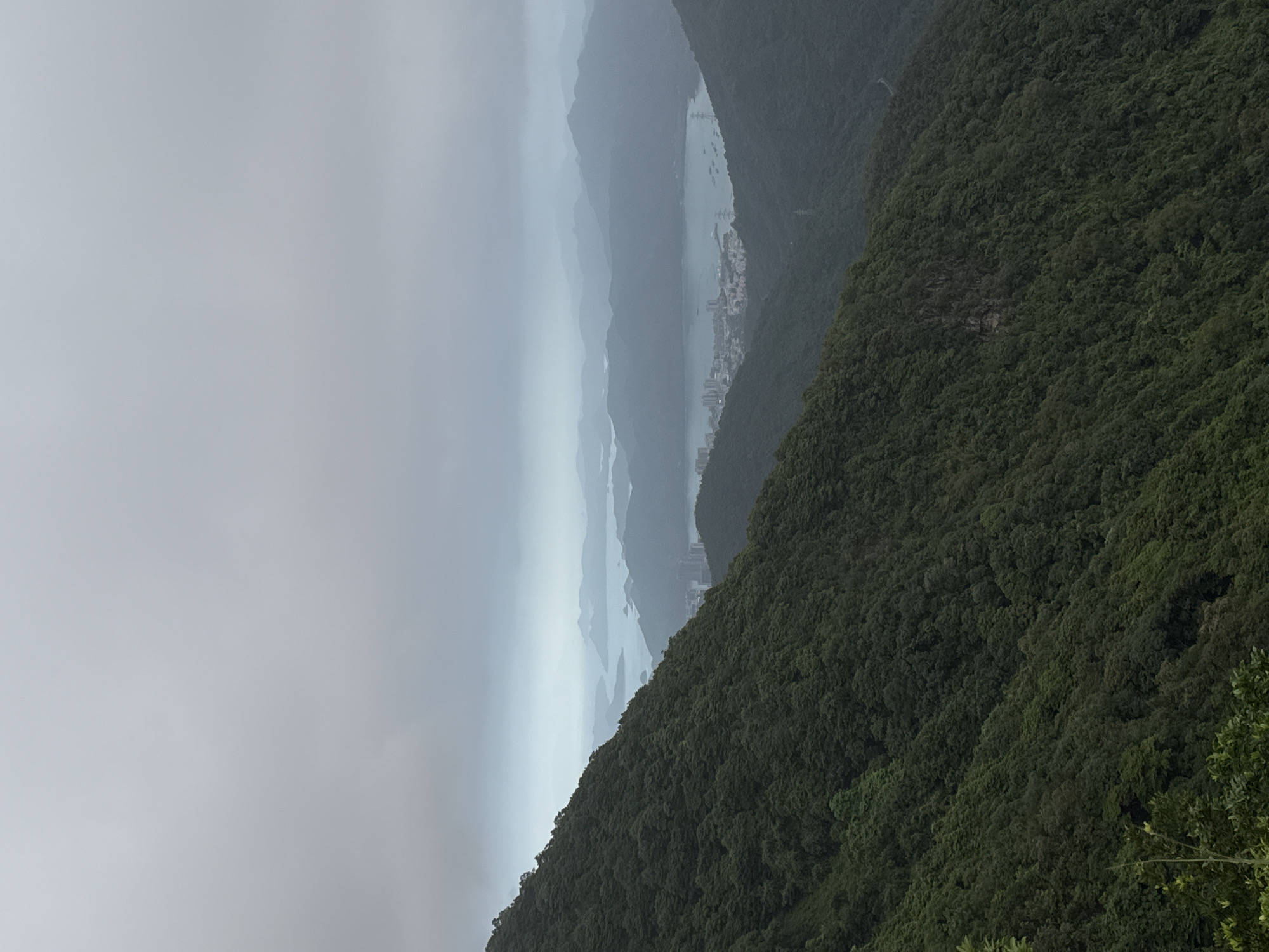 Observer documents mountain and urban views in Luohu District