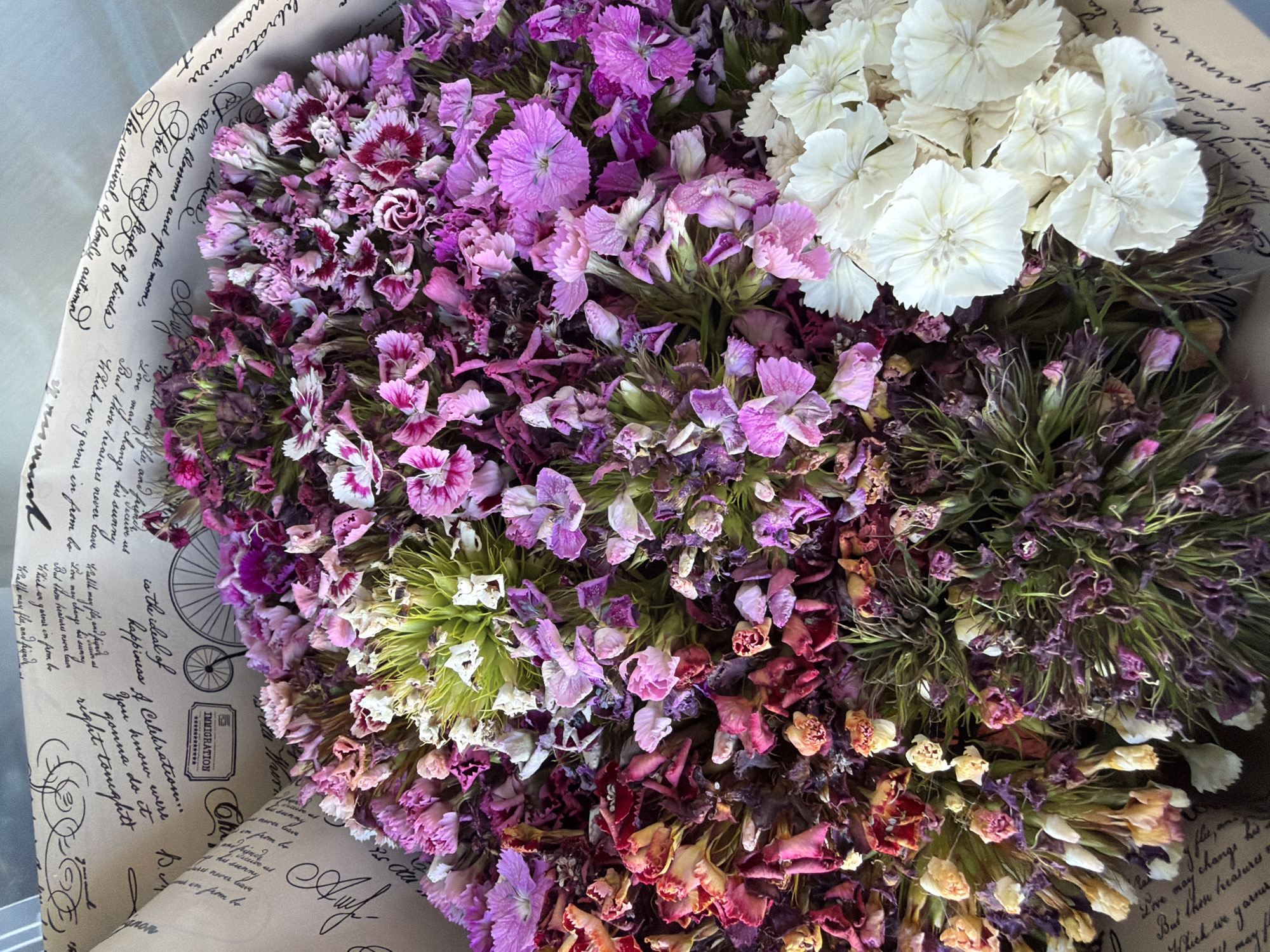Selfies, dried flowers, and a poodle in Kyiv