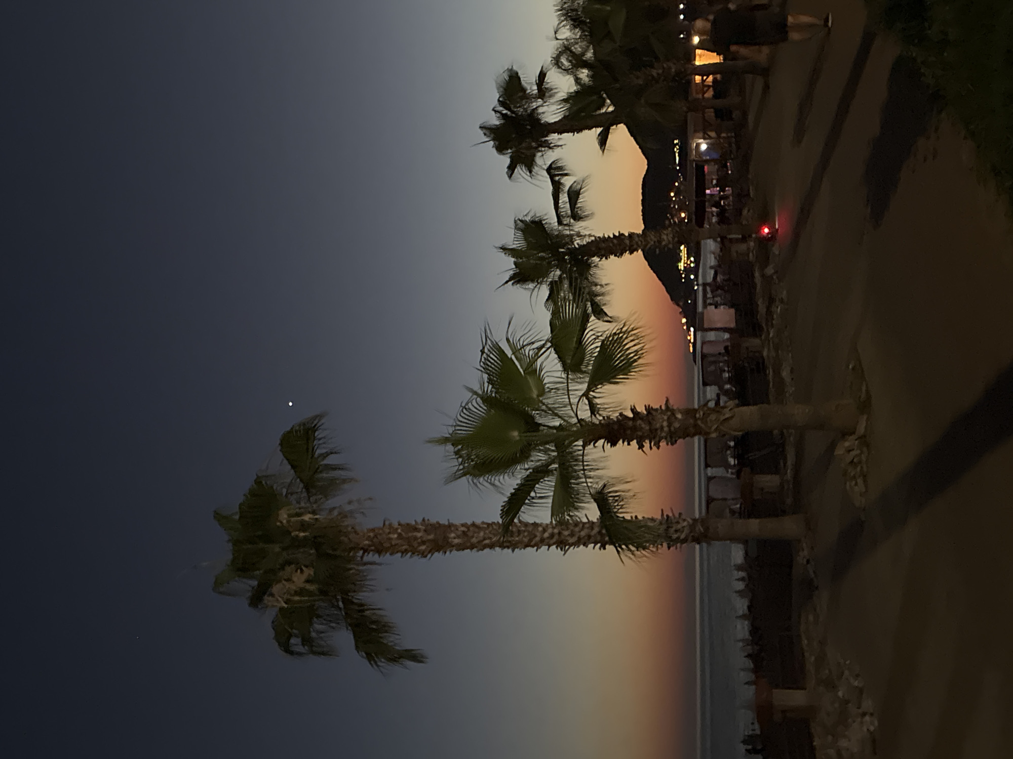 Sunset to night along the palm-lined coast of Alanya