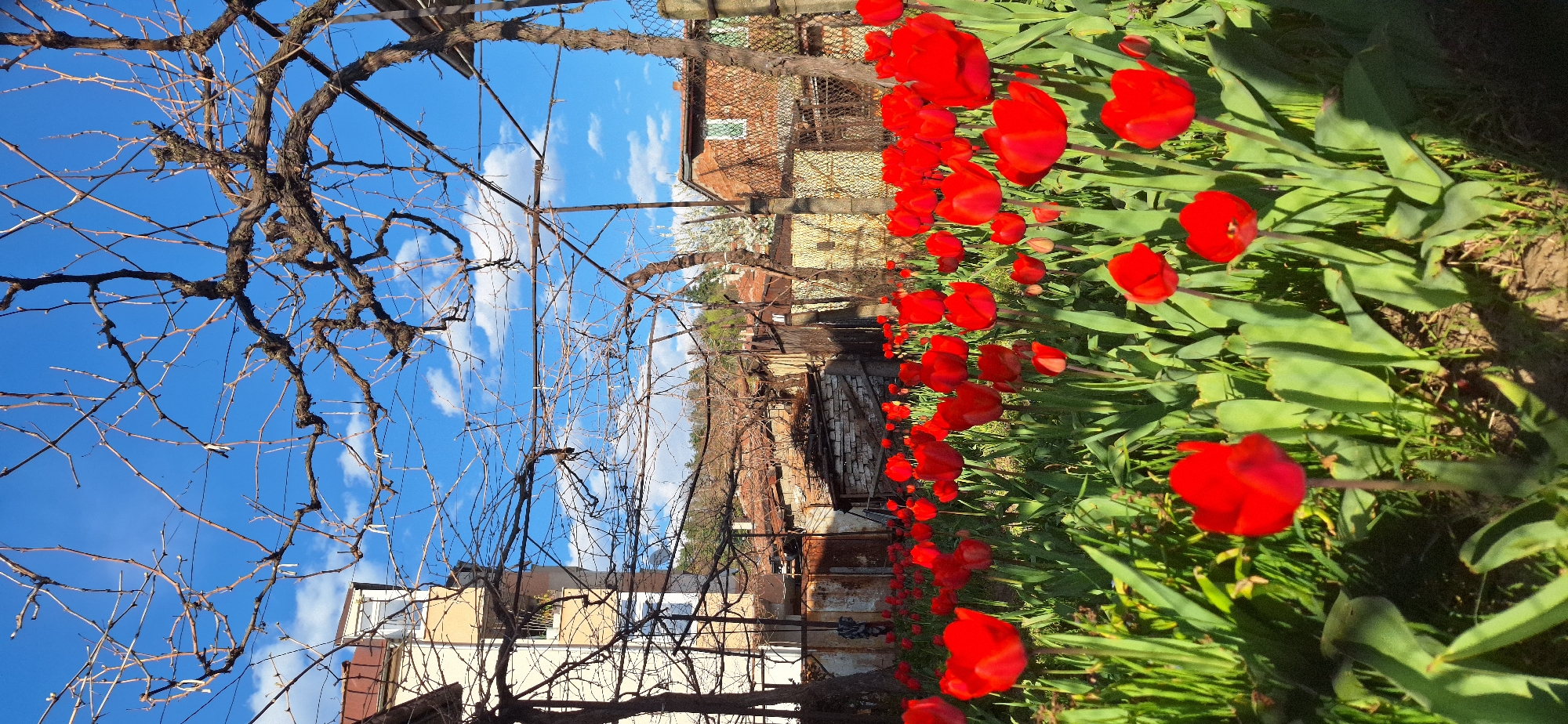 Spring day documented through 30 scenes in Blagoevgrad, Bulgaria