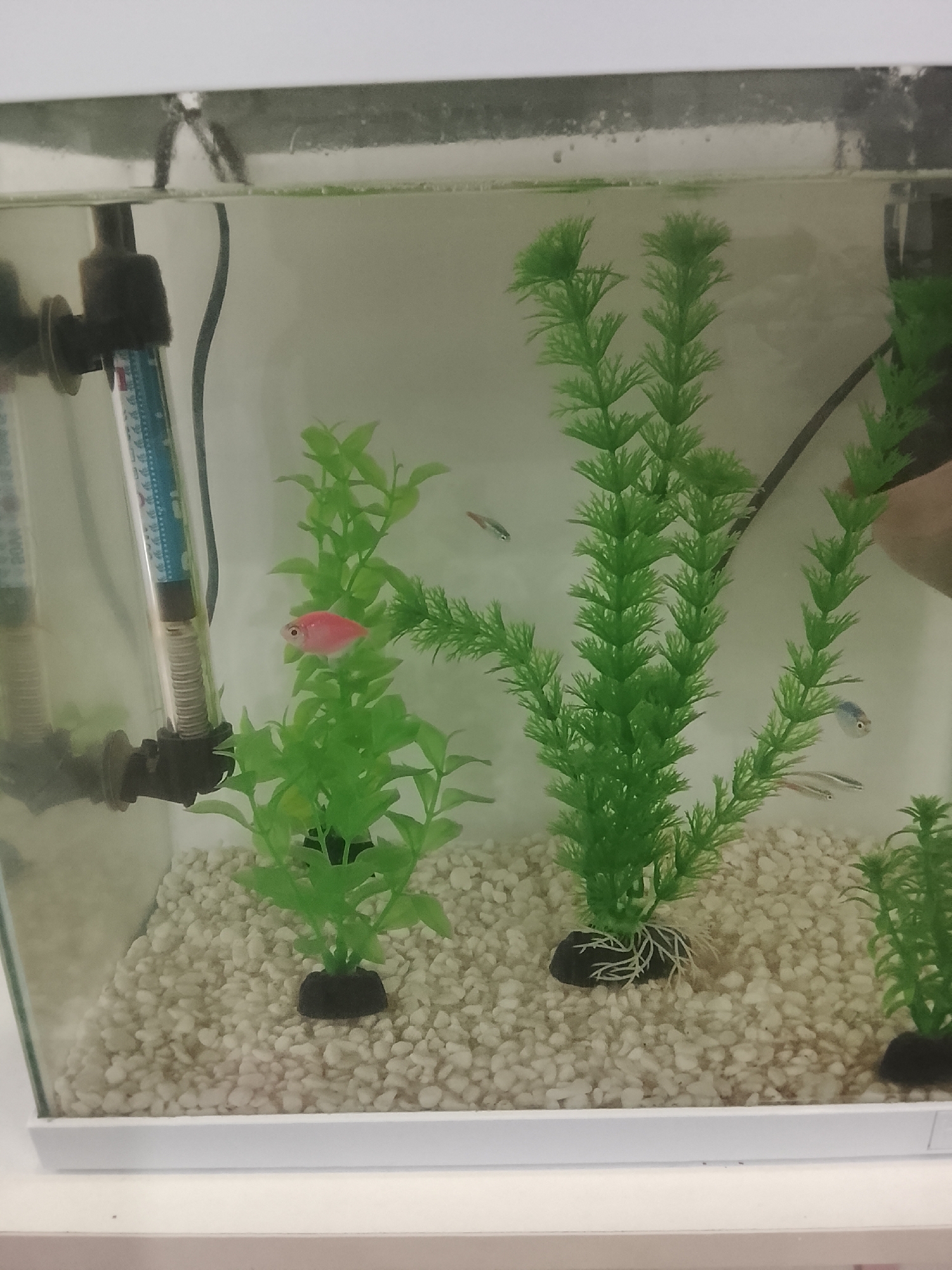 Sofia resident captures mundane indoor scenes including aquarium, number display