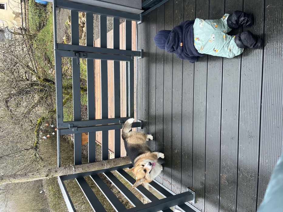 Family with Corgi documented during ordinary day in German villages
