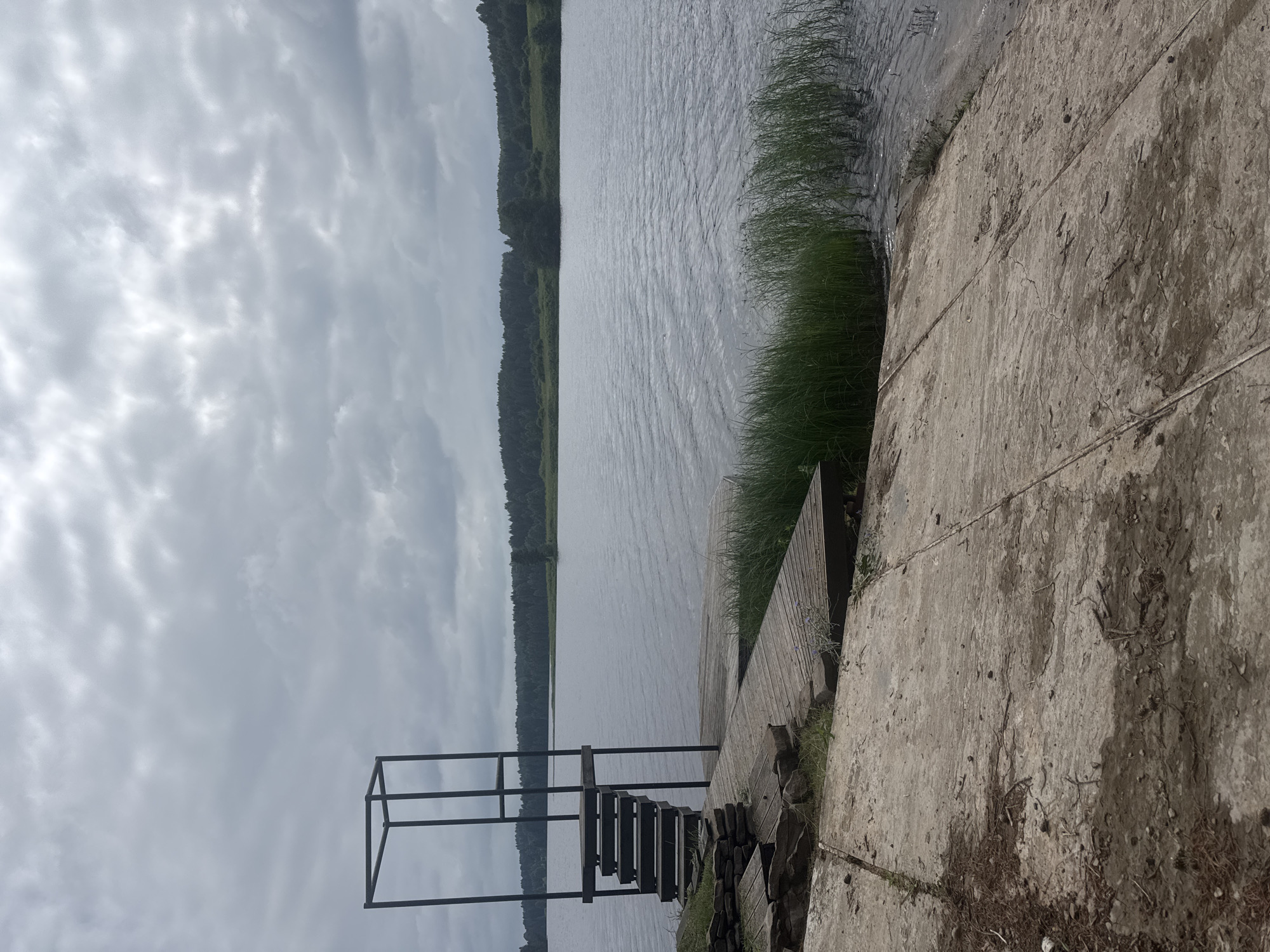 Lake day in Pozdyshki: docks, pine trees, and treetop walks