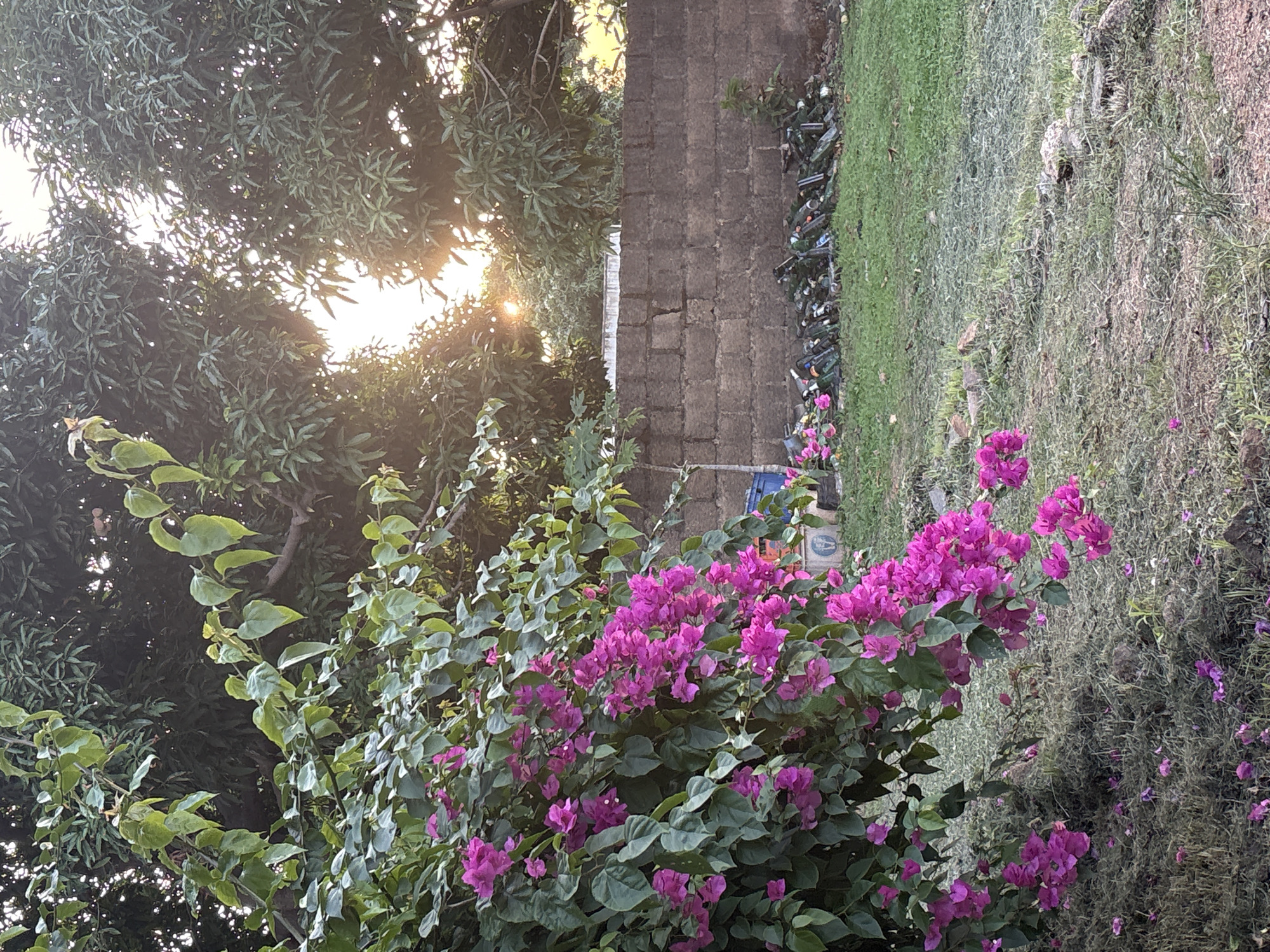 Evening scenes captured around Jos, Nigeria streets and nature
