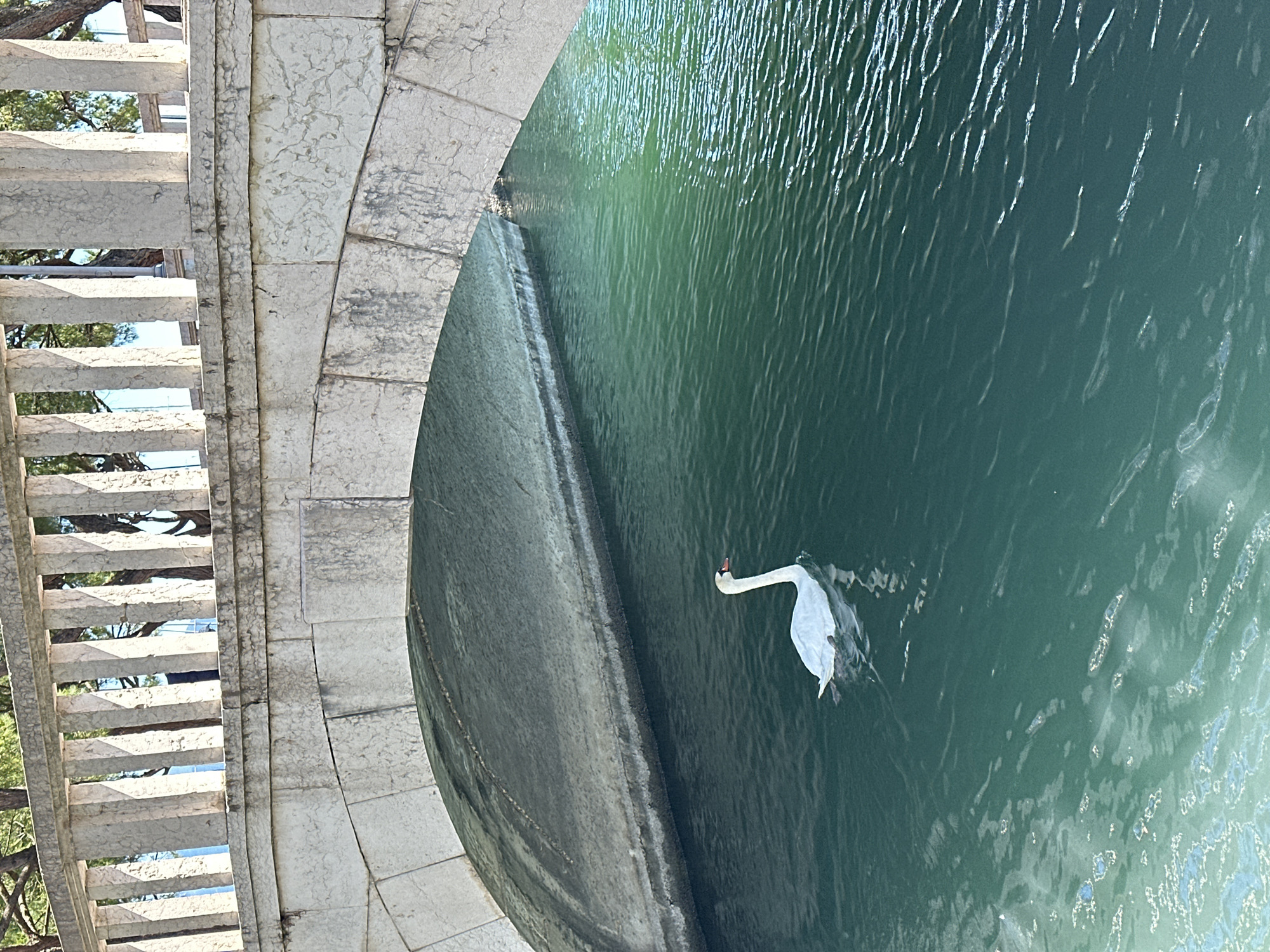 Tranquil morning scenes documented at Desenzano del Garda harbor