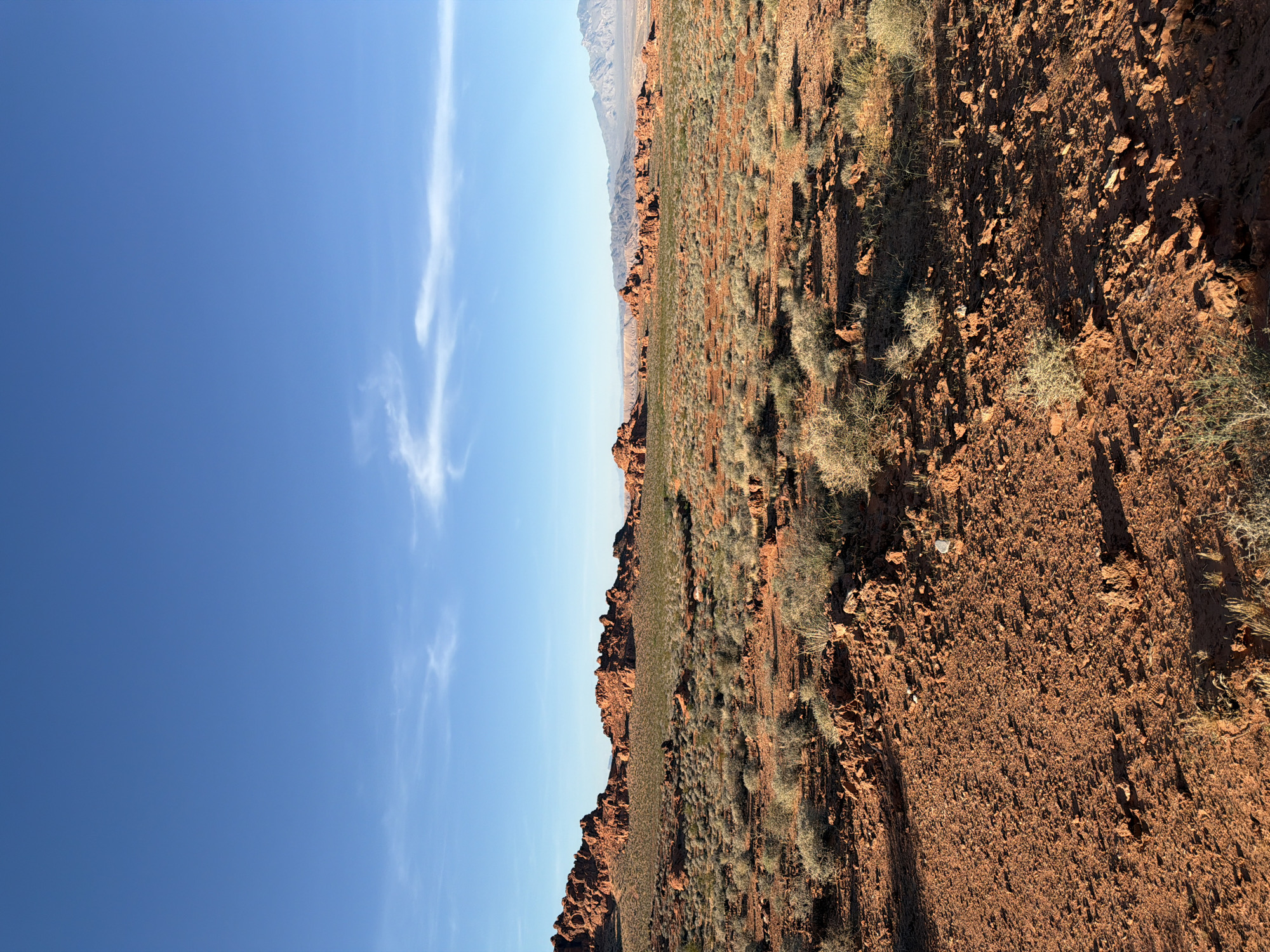 Desert landscape documented in Moapa Valley, Nevada