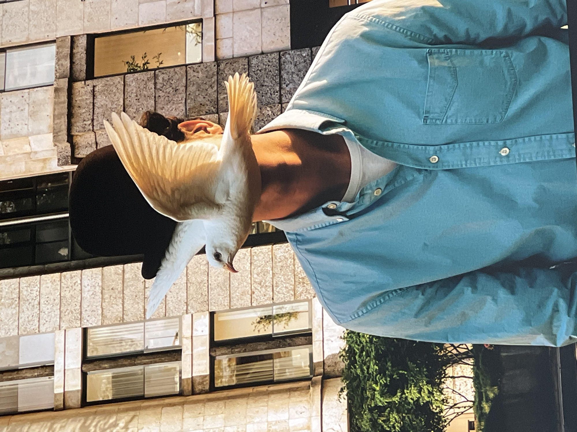 Man encounters seagull in Saint Petersburg historic center