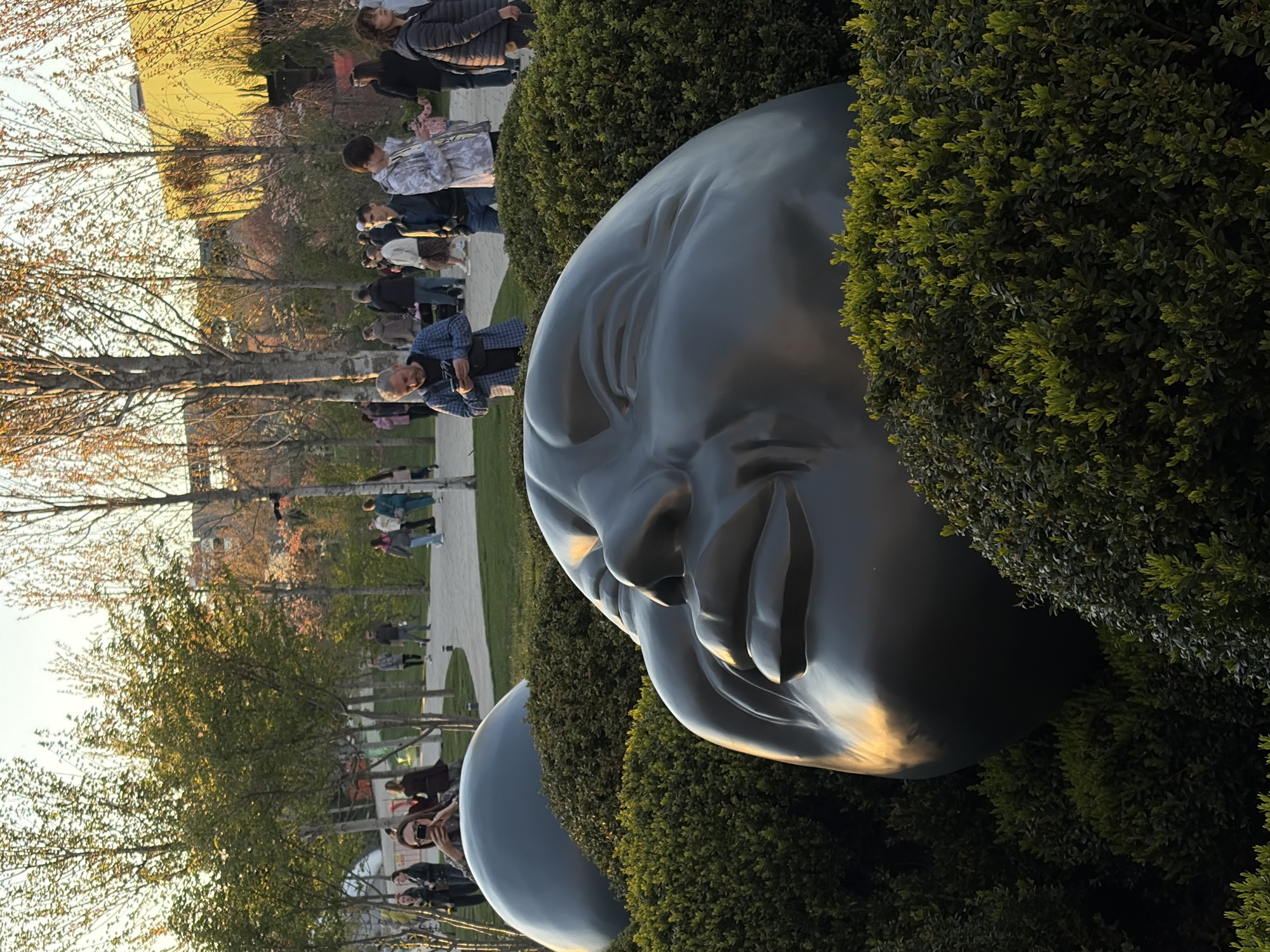 Gray head sculptures spotted among bushes at Krasnodar Park