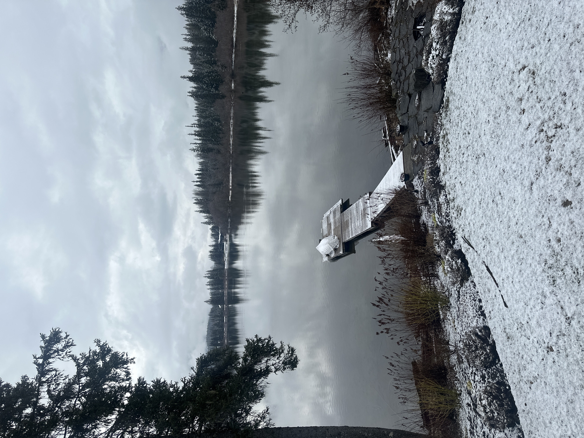 Tranquil lake scene captured at Whistler dock