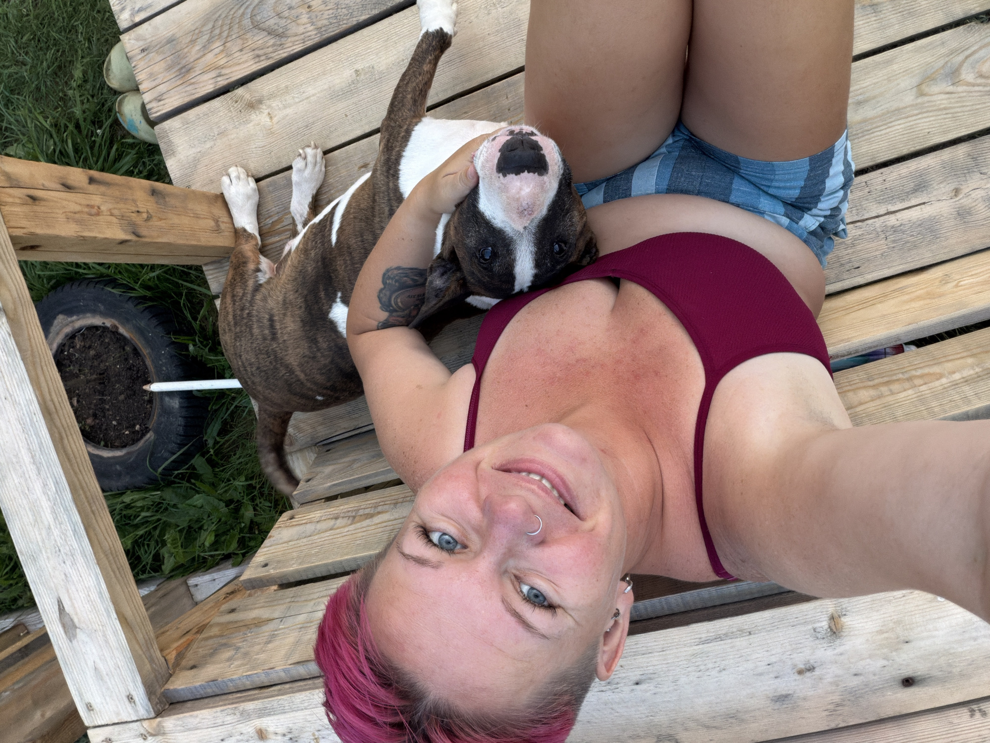 Lazy summer deck evening with a bull terrier in Chaikovsky