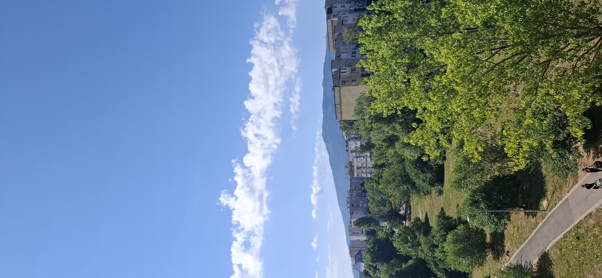 Sofia summer morning: city views, greenery, and a blooming carnation