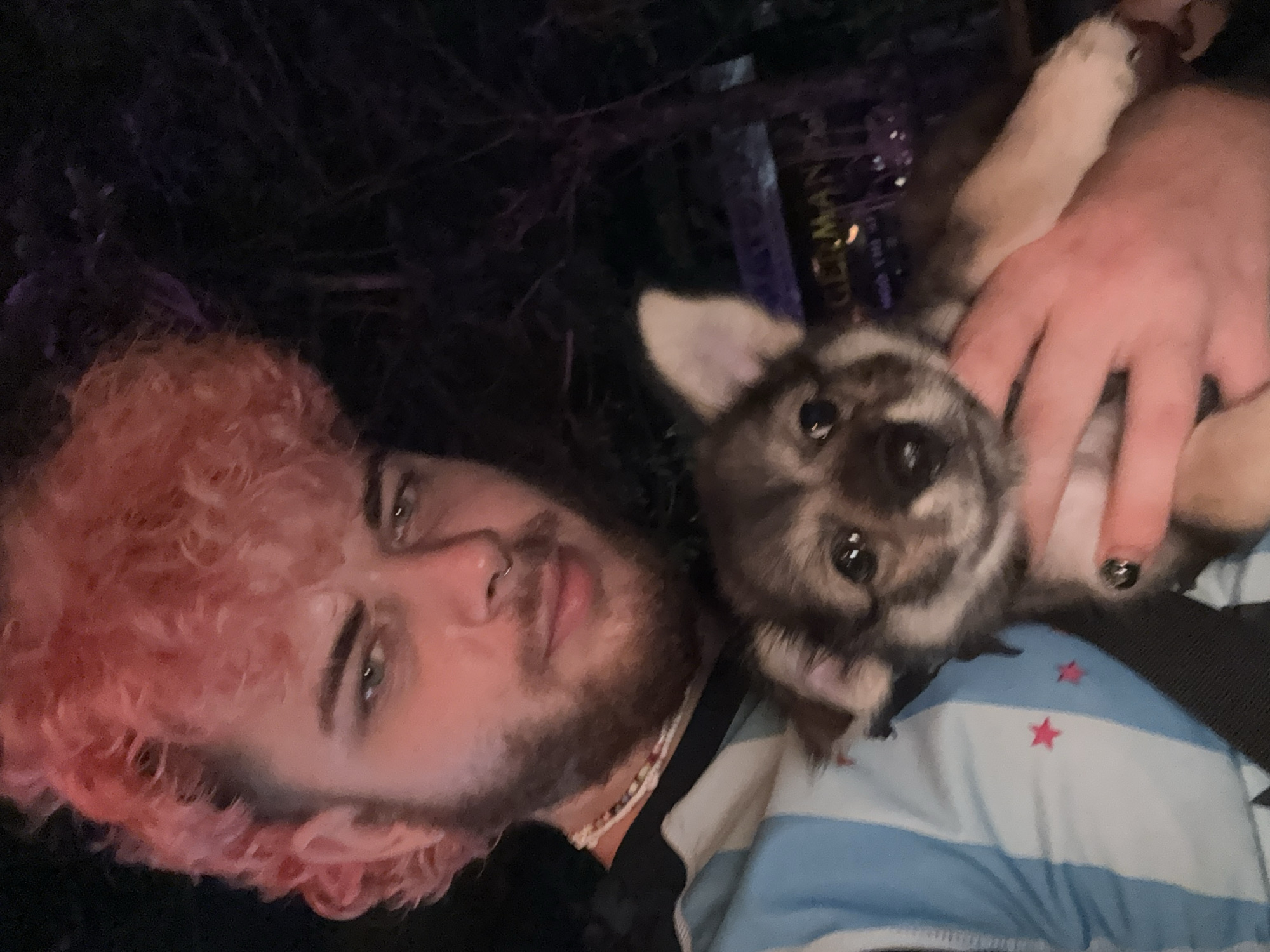 Pink-haired person and puppy documented during Đà Nẵng sunset evening