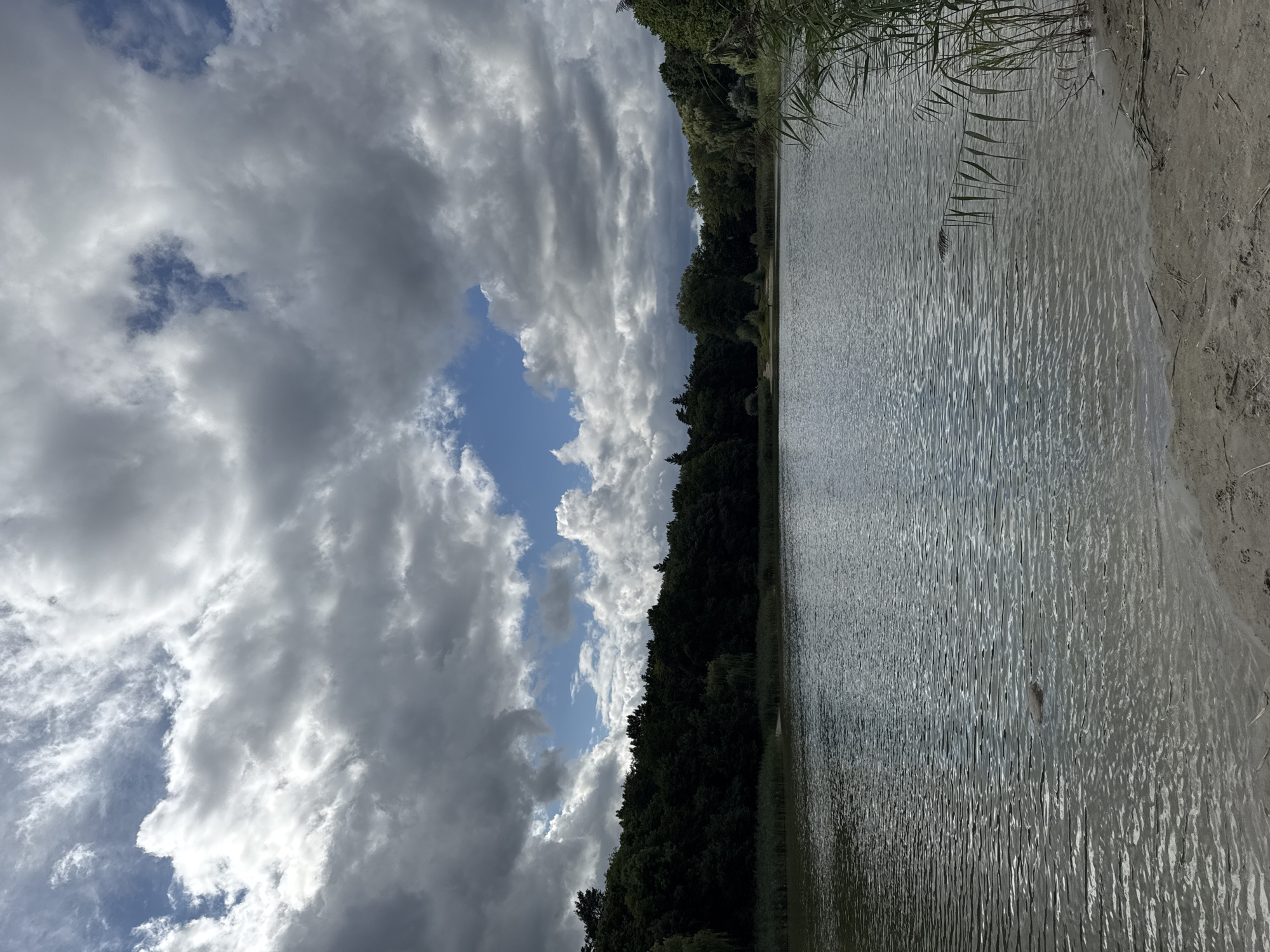 Lazy lakeside afternoon in Szczecin with food, clouds, and a cat