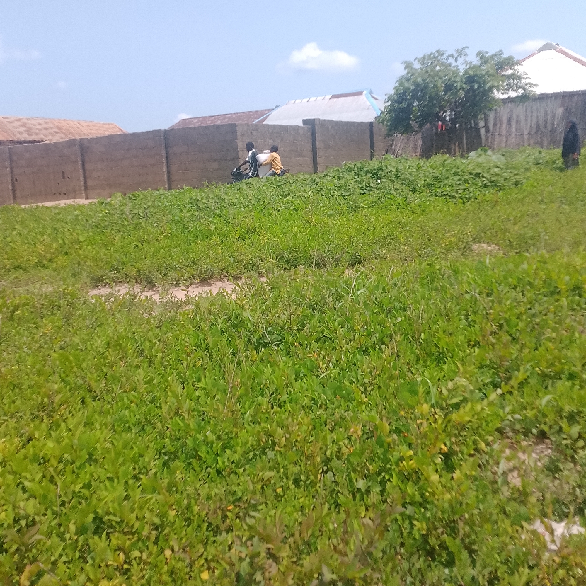 Street-level look at construction and daily life in Serti, Nigeria
