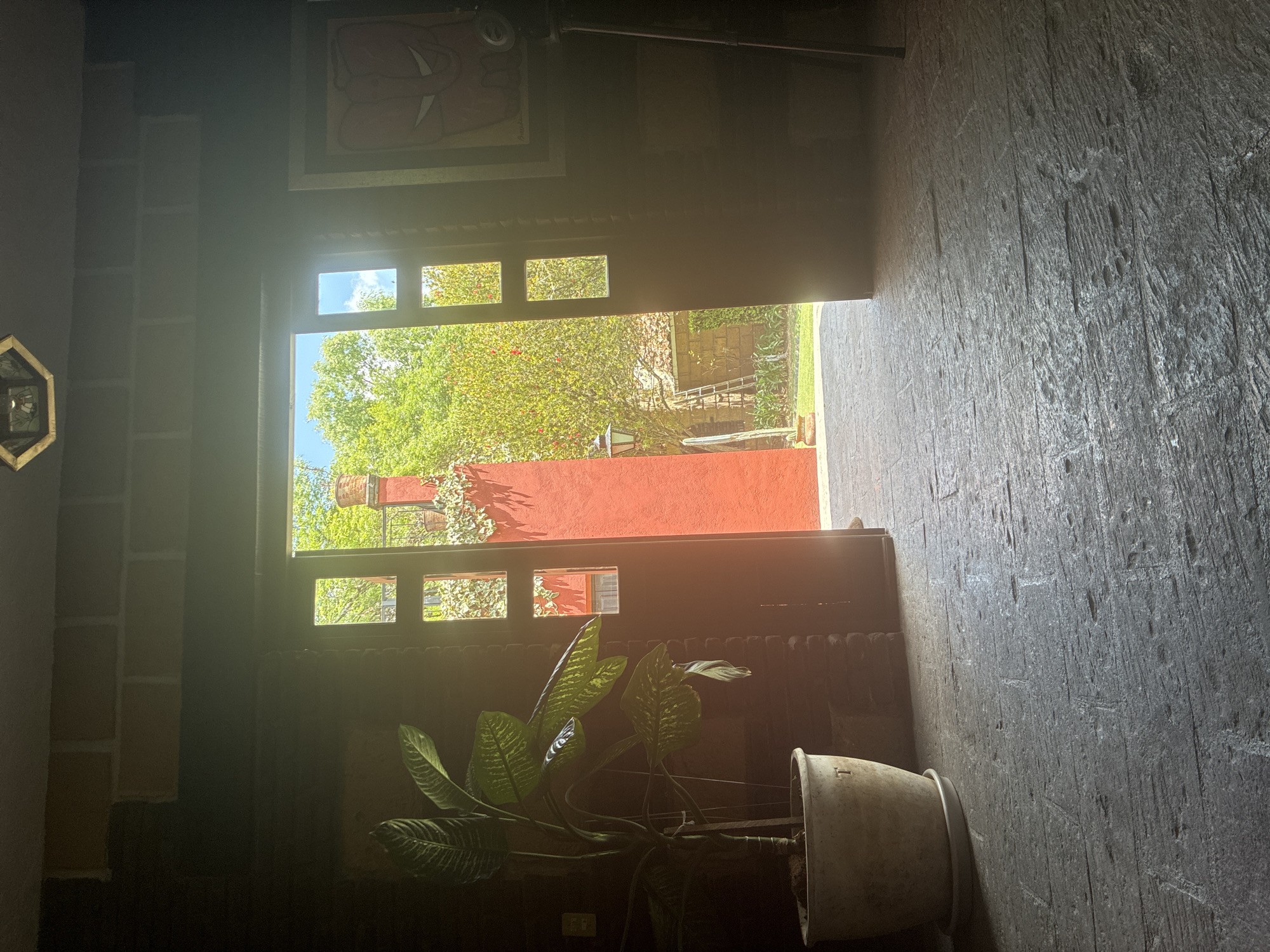 Quiet home moments captured in Cañada de Madero