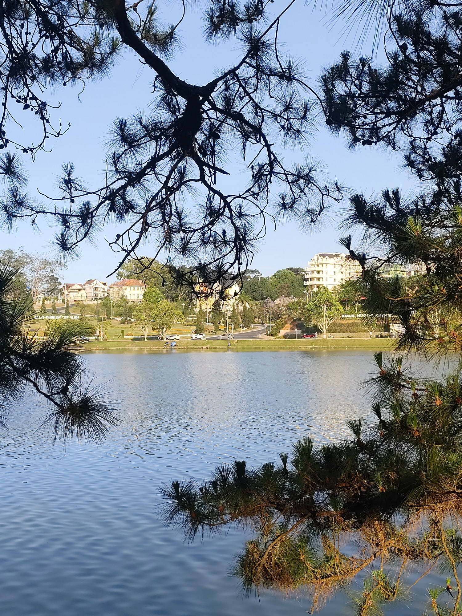 Leisurely morning at Da Lat's Xuan Huong Lake draws visitors