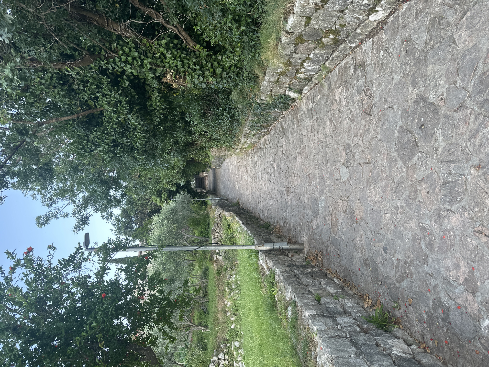Montenegro locations documented across Budva and Podostrog regions
