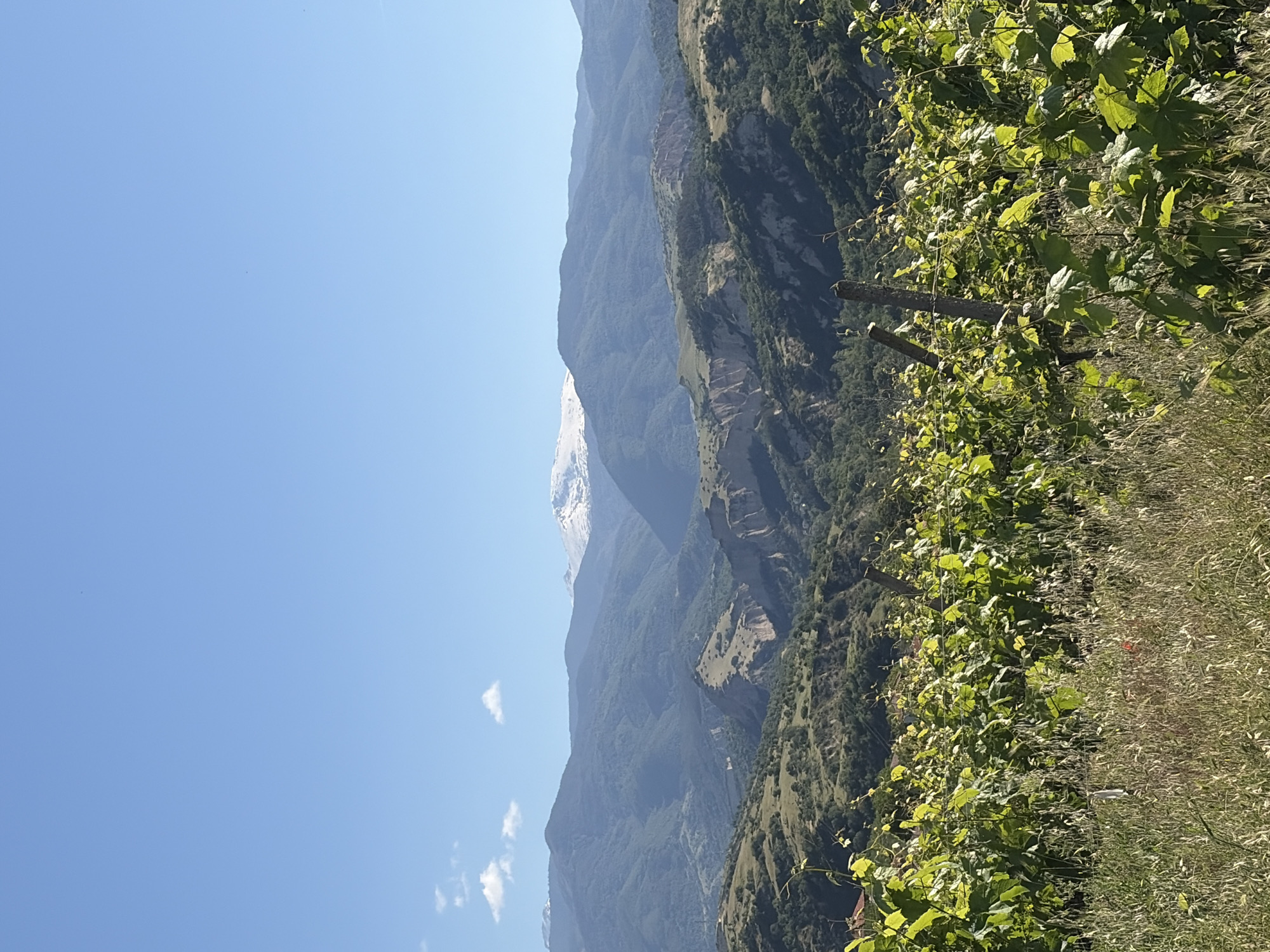 Morning vineyard landscape documented across mountainous rural settlement