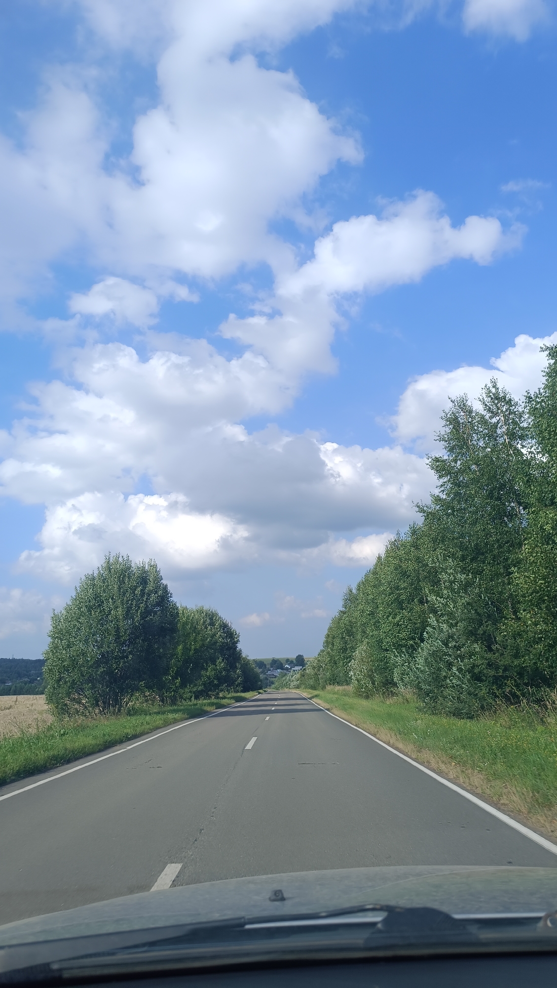 Family road trip through rural countryside with forest and farm stops