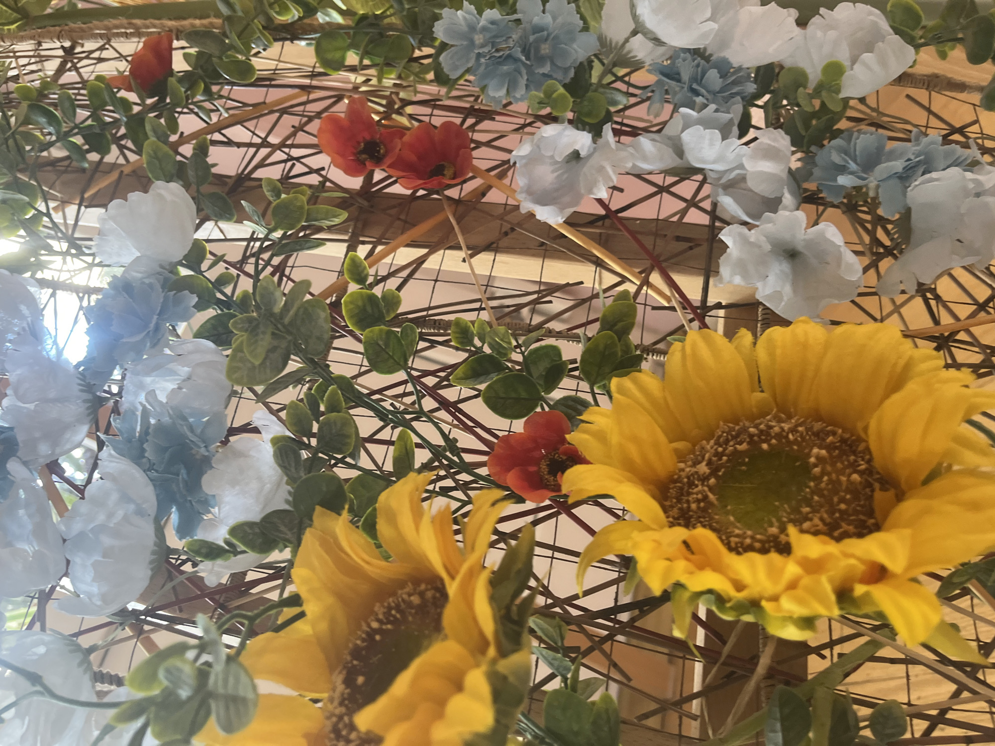 Morning indoor scenes documented in Saint Petersburg classroom, plant spaces