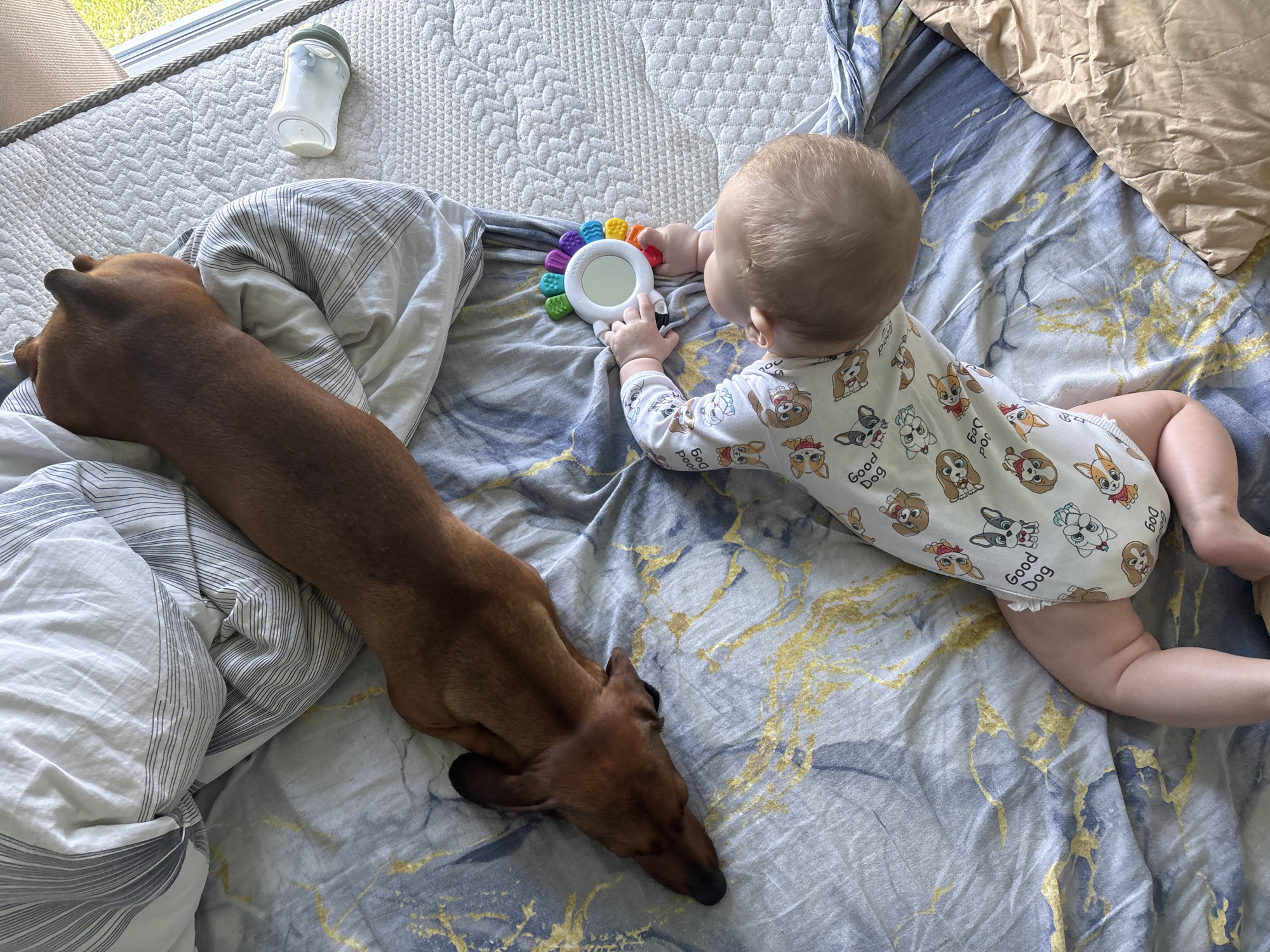 Family moments captured with baby, mother, dachshund in Russian home