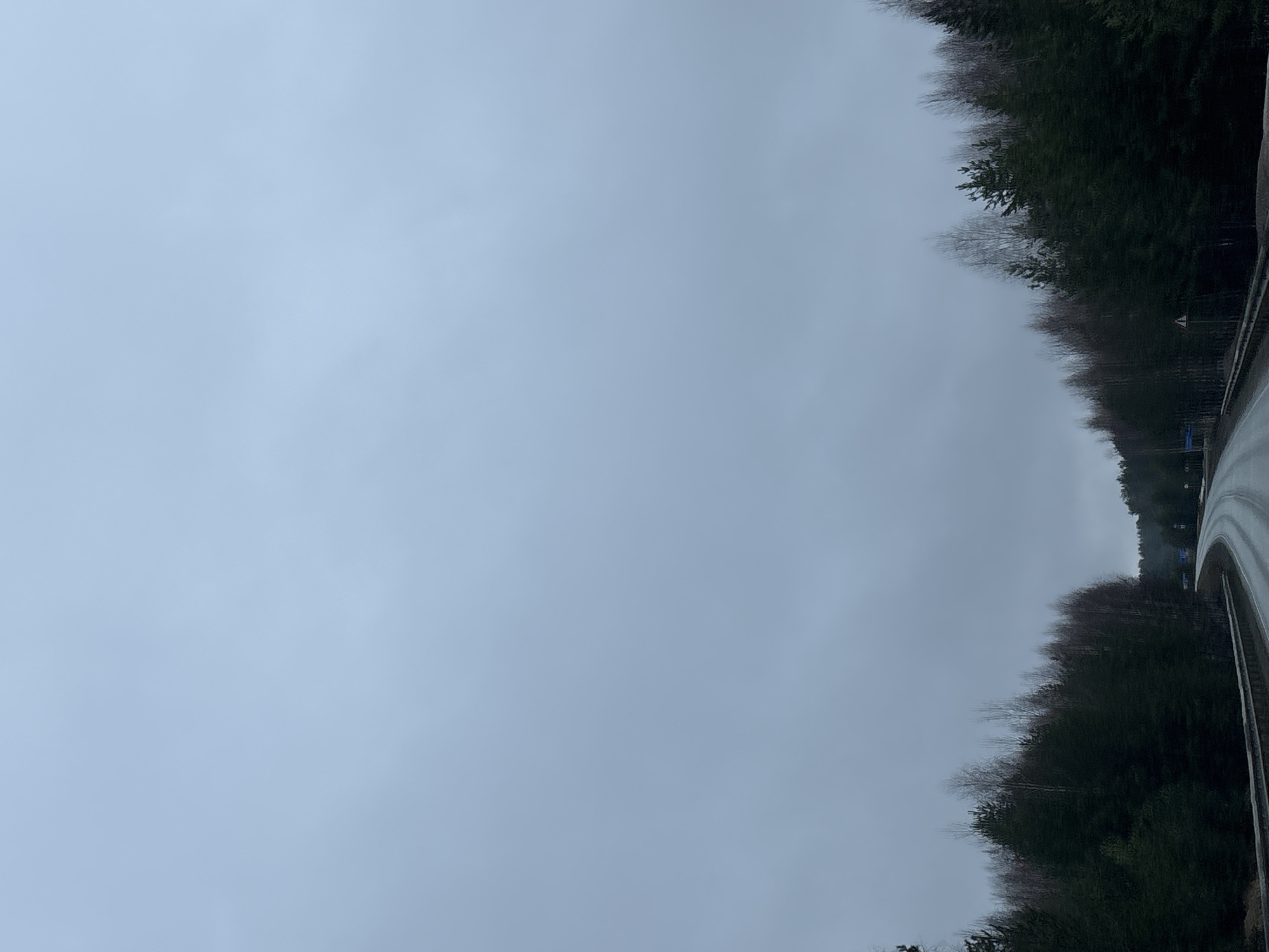 Overcast morning travel scene documented near Chaikovsky, Russia