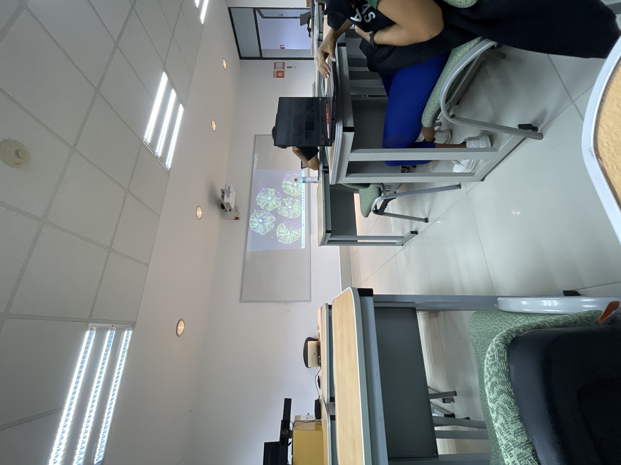 Late night classroom session observed in San Andrés Cholula