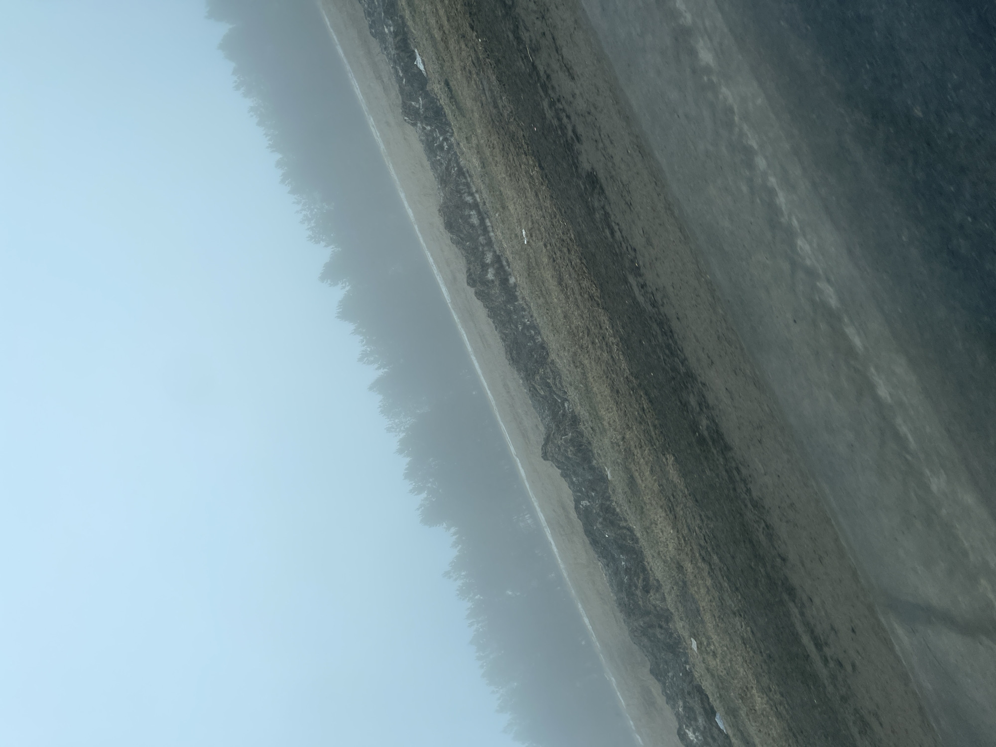 Dense fog reduces visibility in Kolosovka, Russia