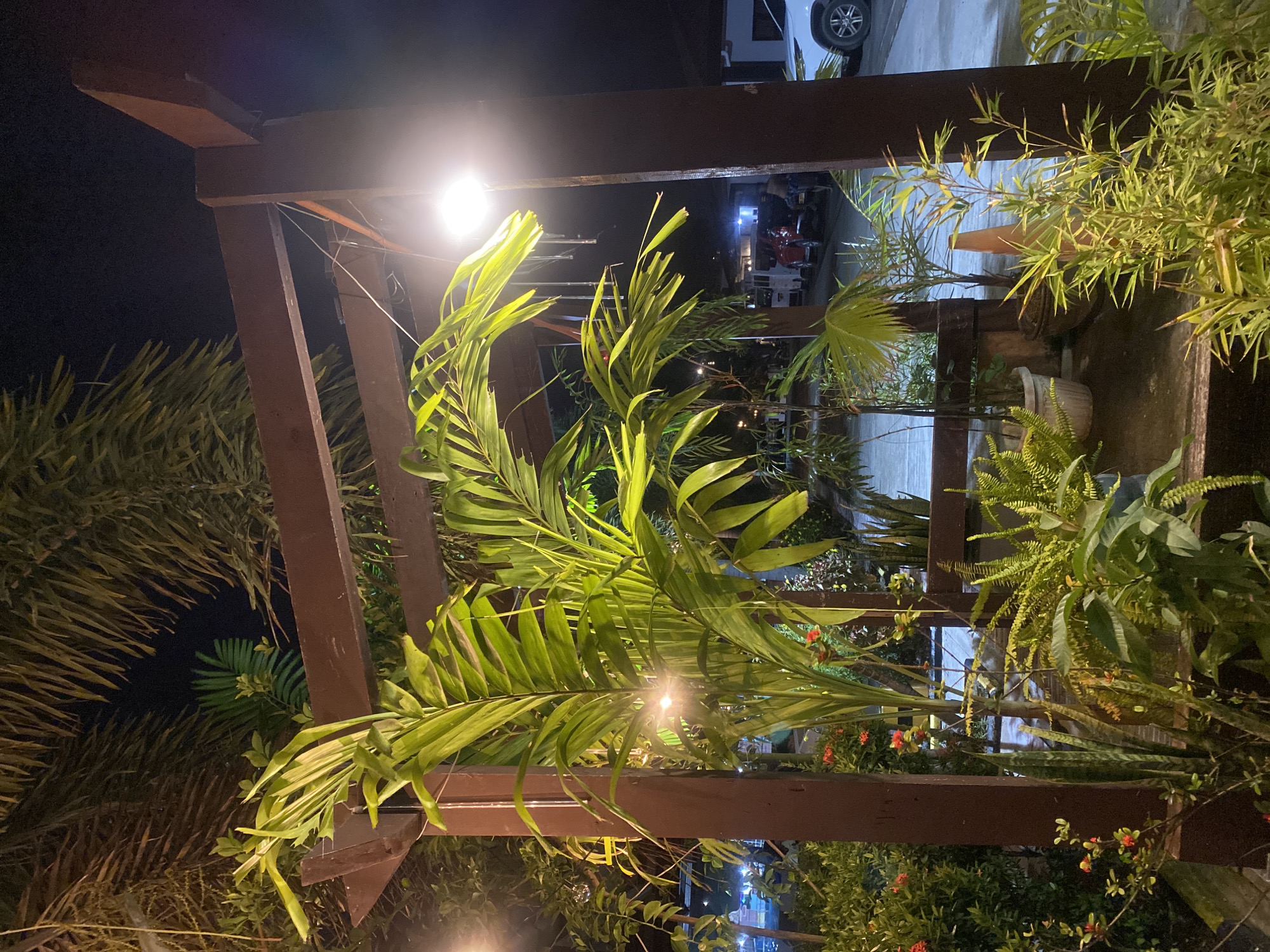 Birthday night party with live band at Davao City resort