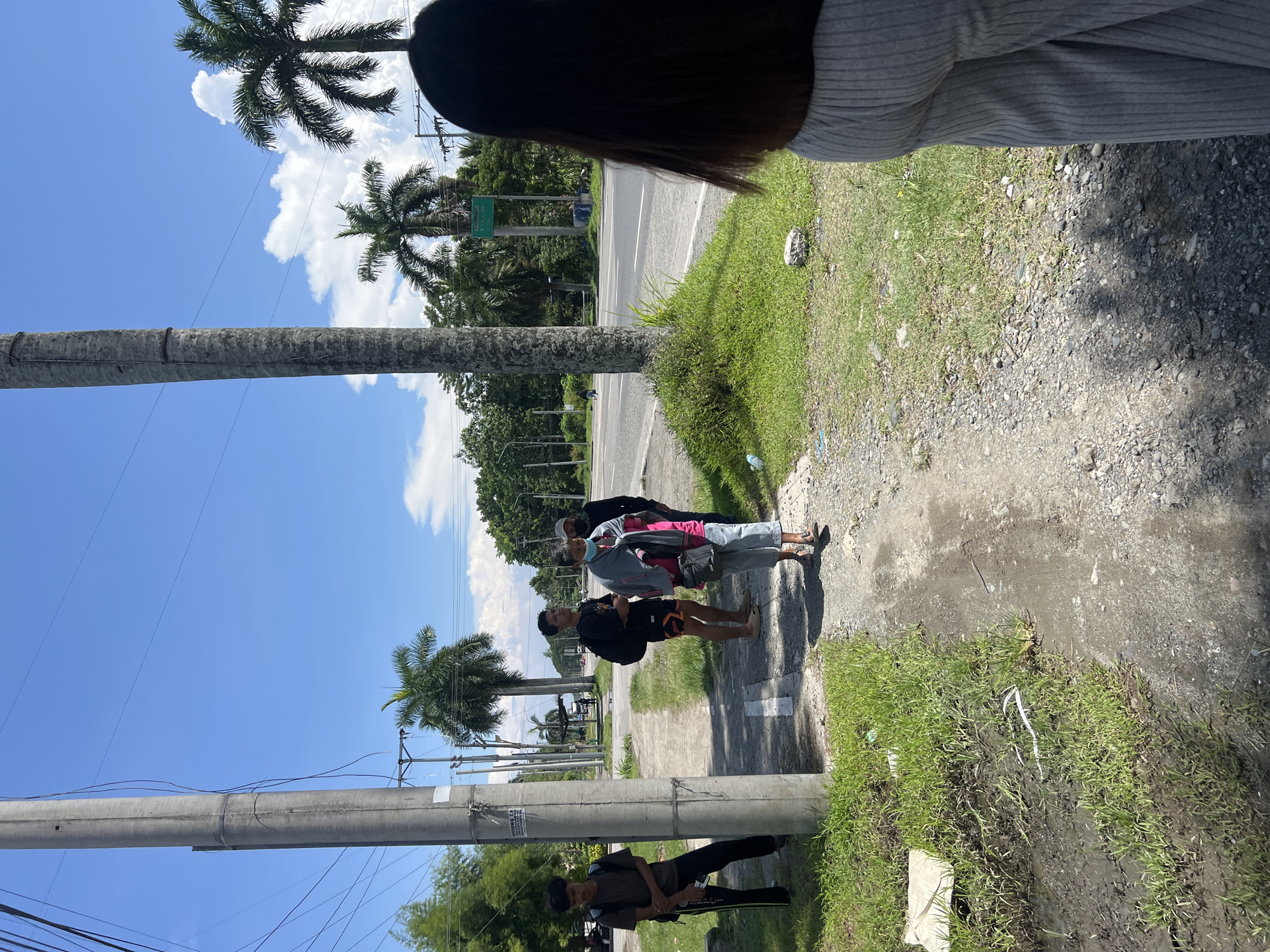 Yellow bus gathering documented on palm-lined Tagum road
