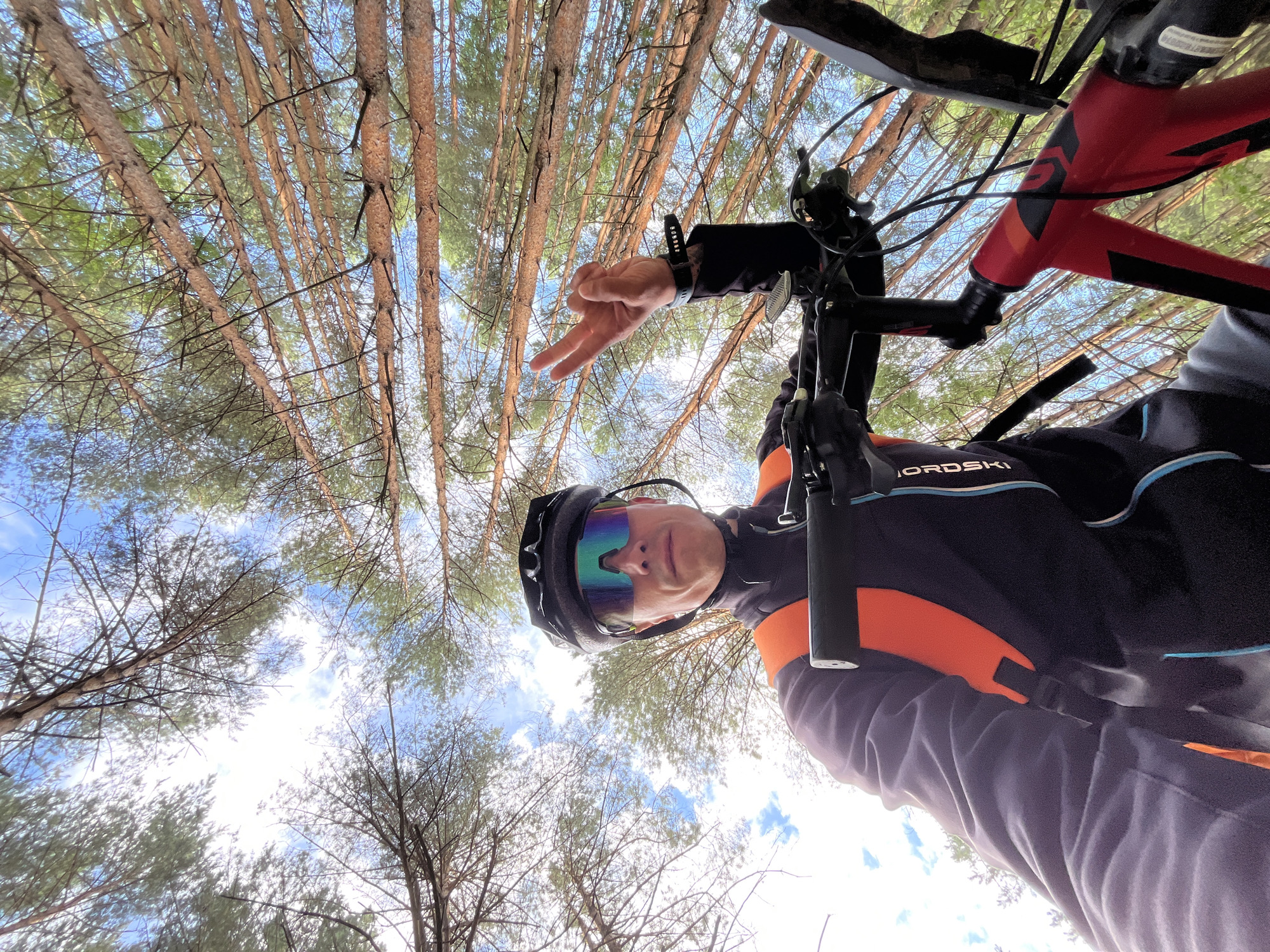 Forest bike ride with wildflower stops near Chaikovsky