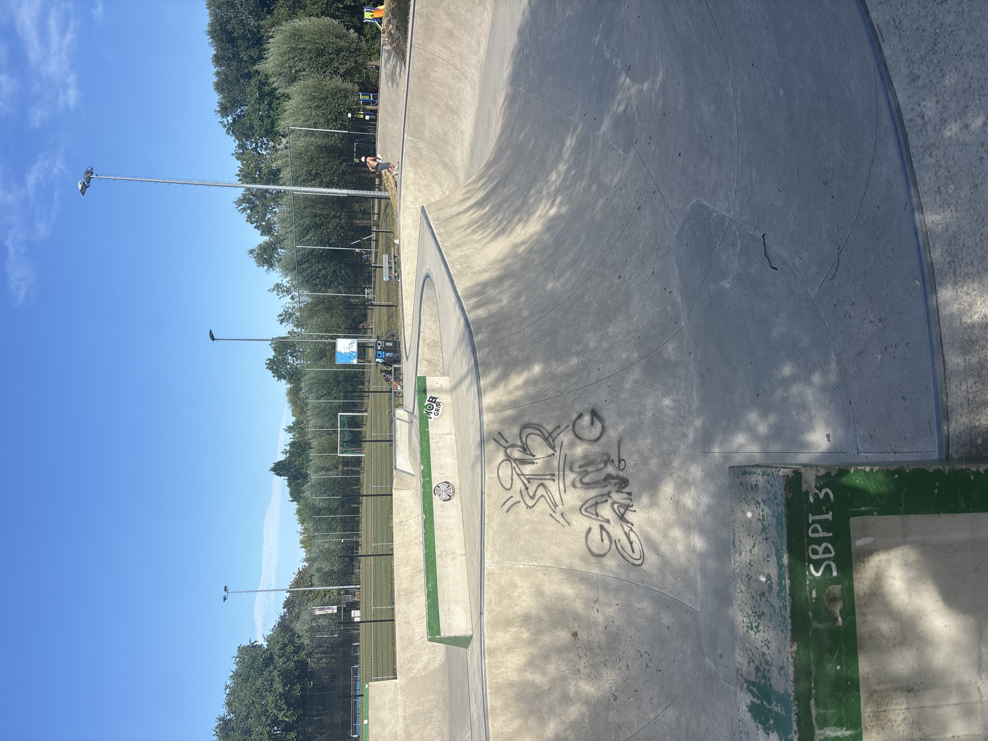 Skatepark session and summer market, suburban Brussels