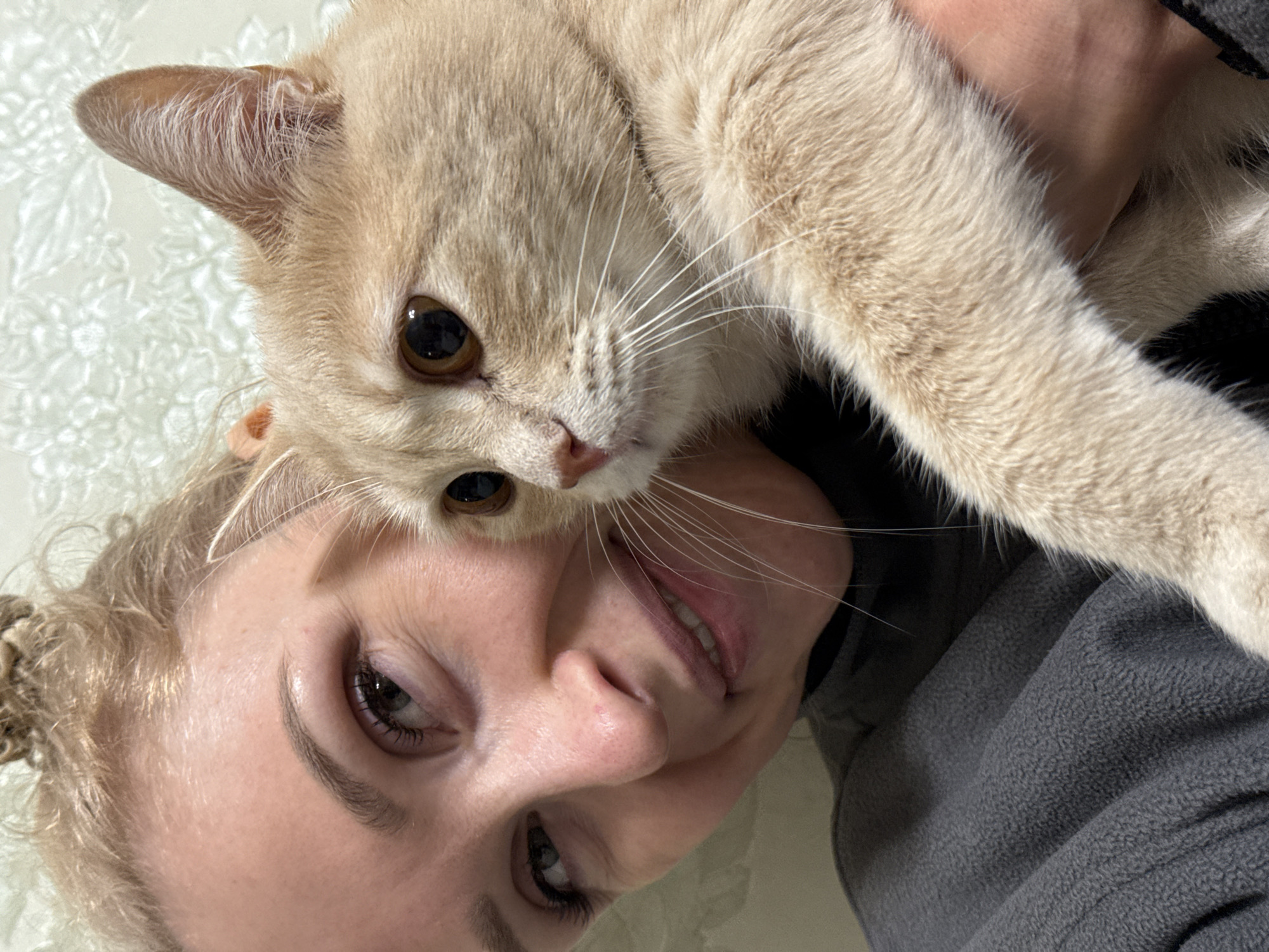 Woman takes selfie with brown cat in Perm
